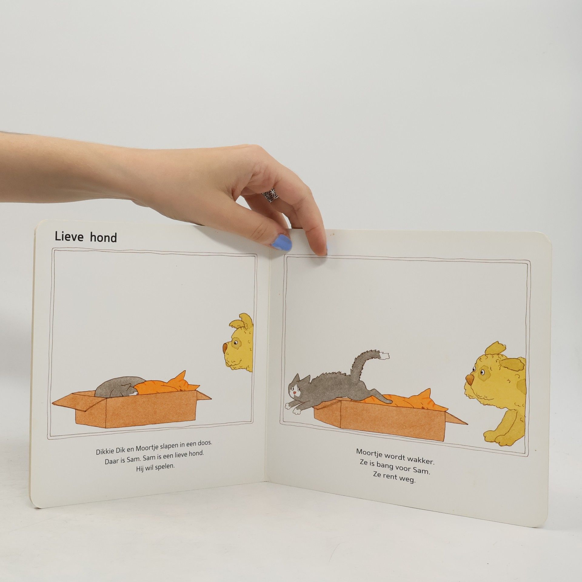 Jet Boeke Knuffels van Dikkie Dik
