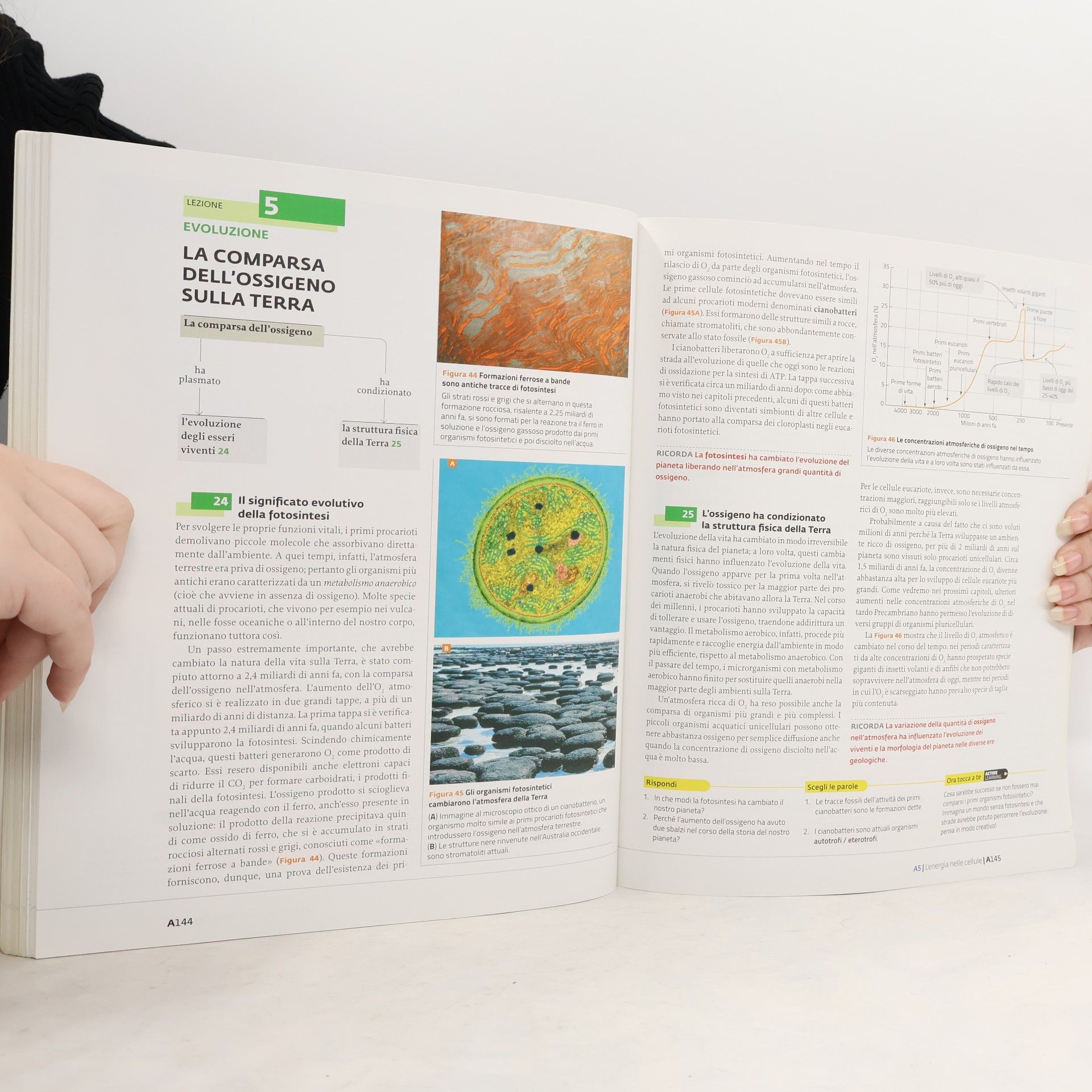 Autorenkollektiv La nuova biologia.blu PLUS. La biosfera, la cellula e i viventi