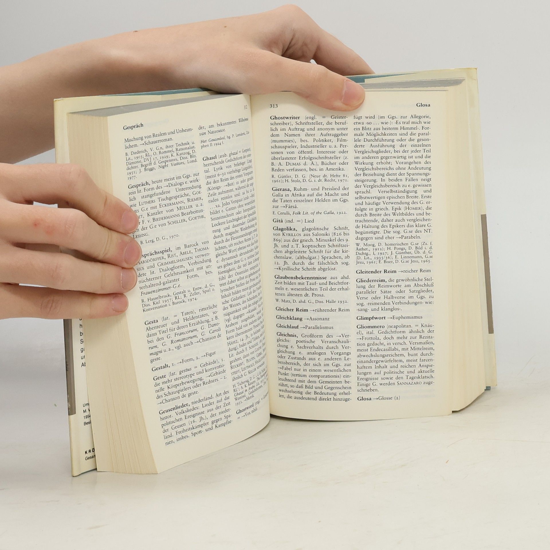 Gero von Wilpert Sachwörterbuch der Literatur