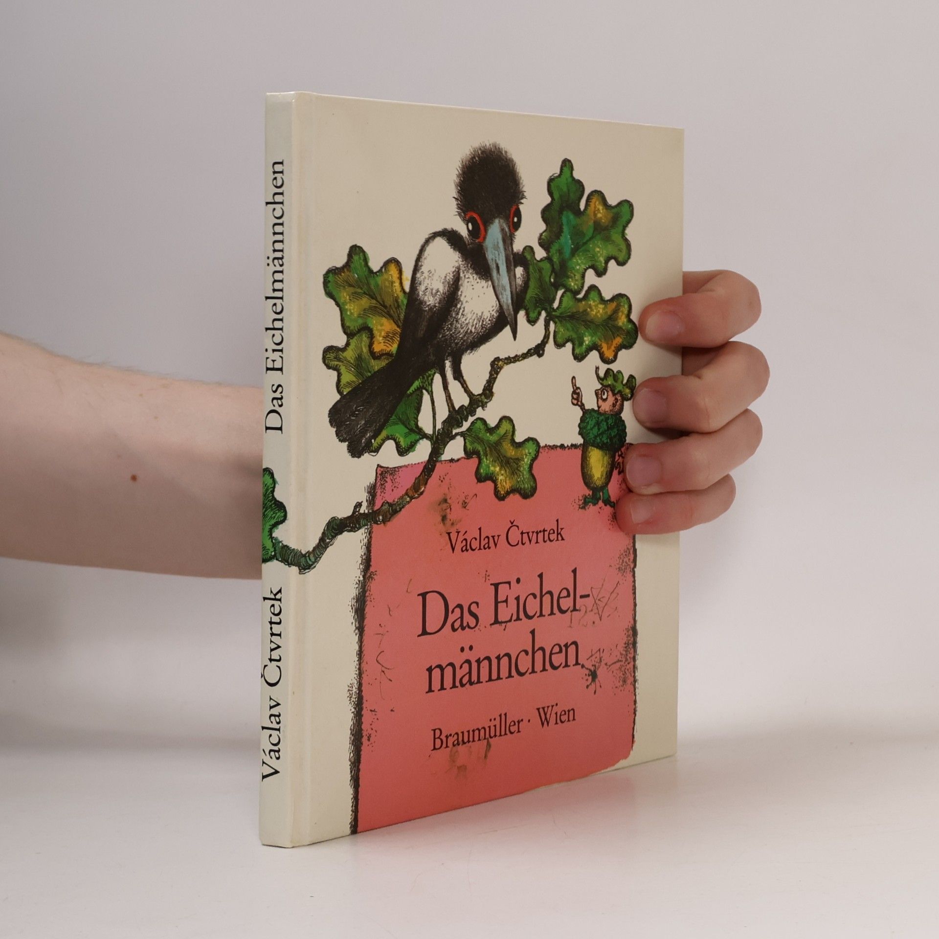 Das Eichelmännchen