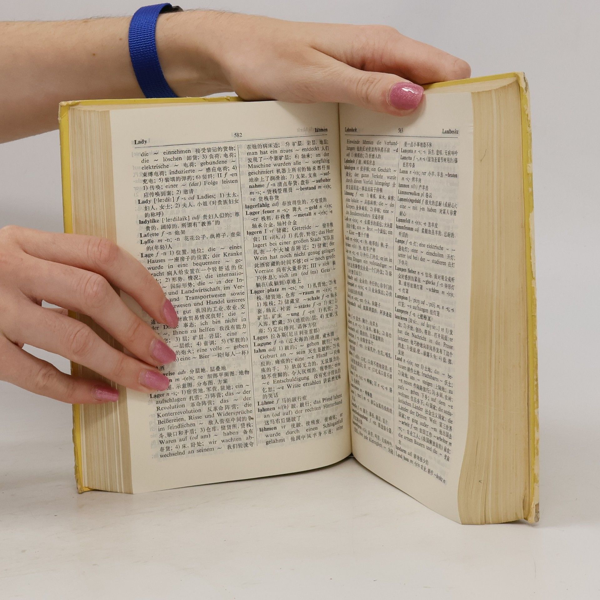 Kolektív autorov 简明德汉词典. Deutsch-Chinesisches Handwörterbuch