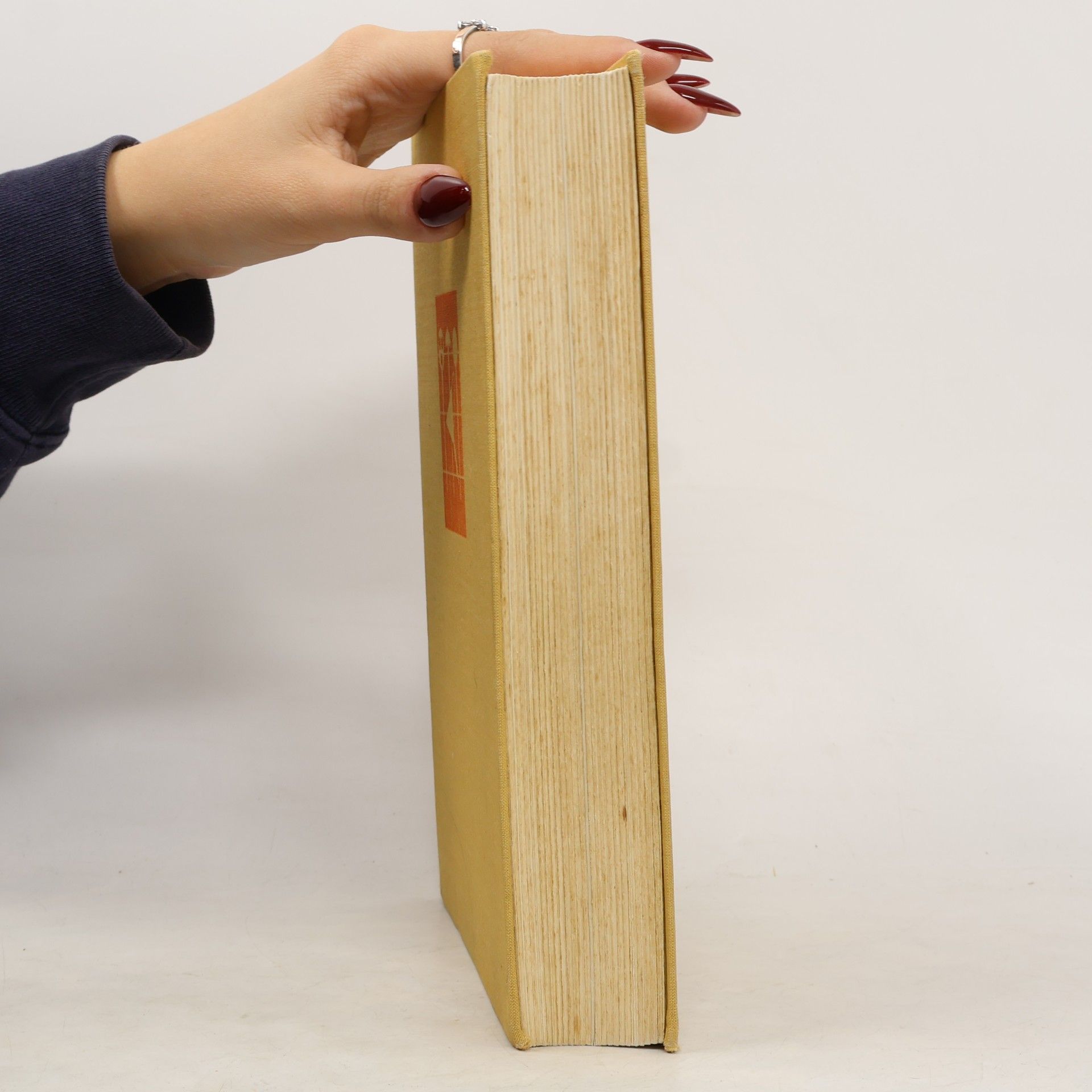 Mater Johanna Rindler Mein Grosses Kochbuch