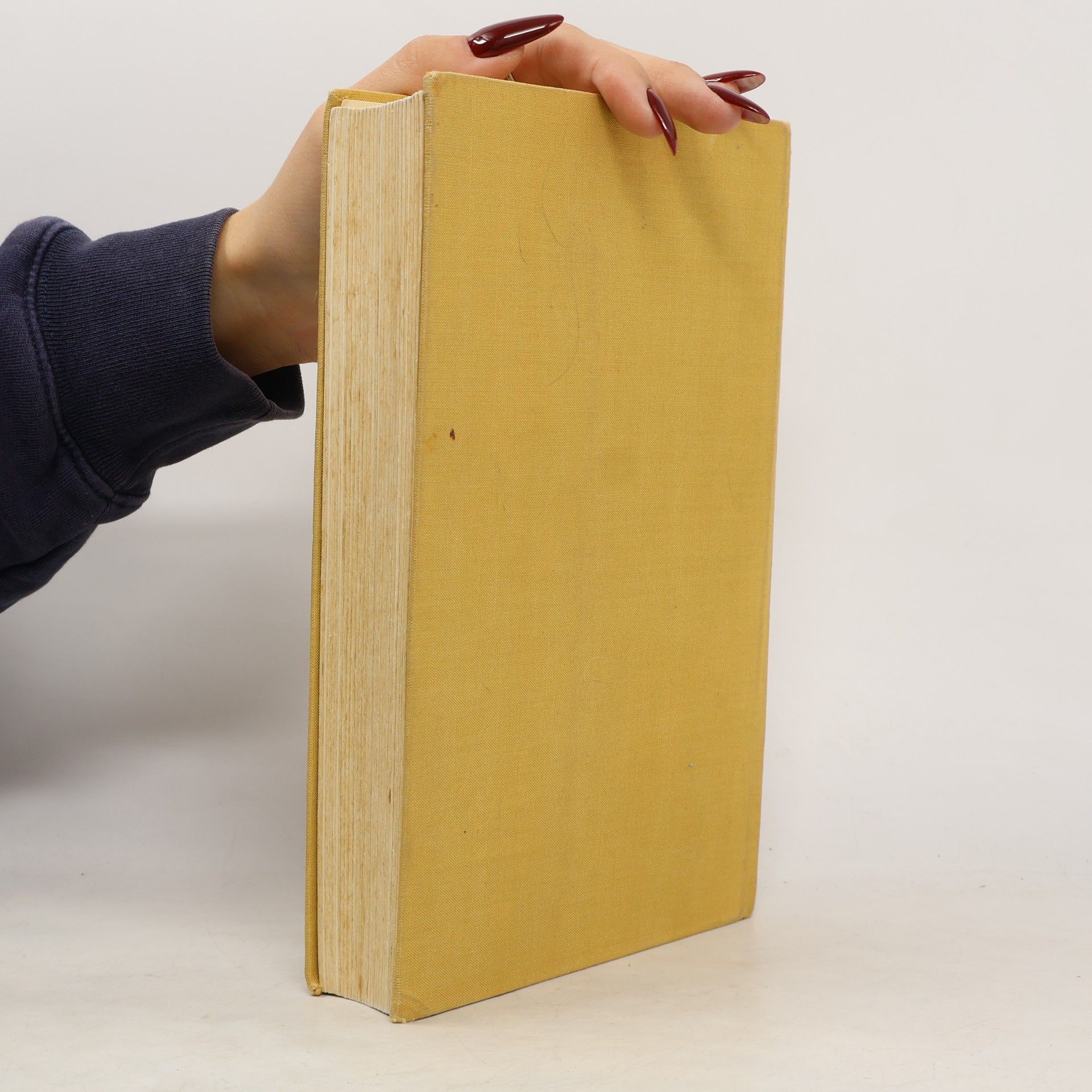 Mater Johanna Rindler Mein Grosses Kochbuch