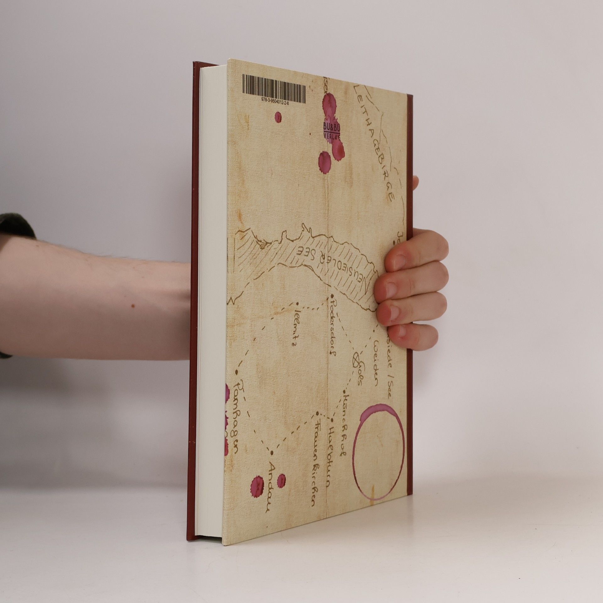 Katharina Graf Der Rebstock