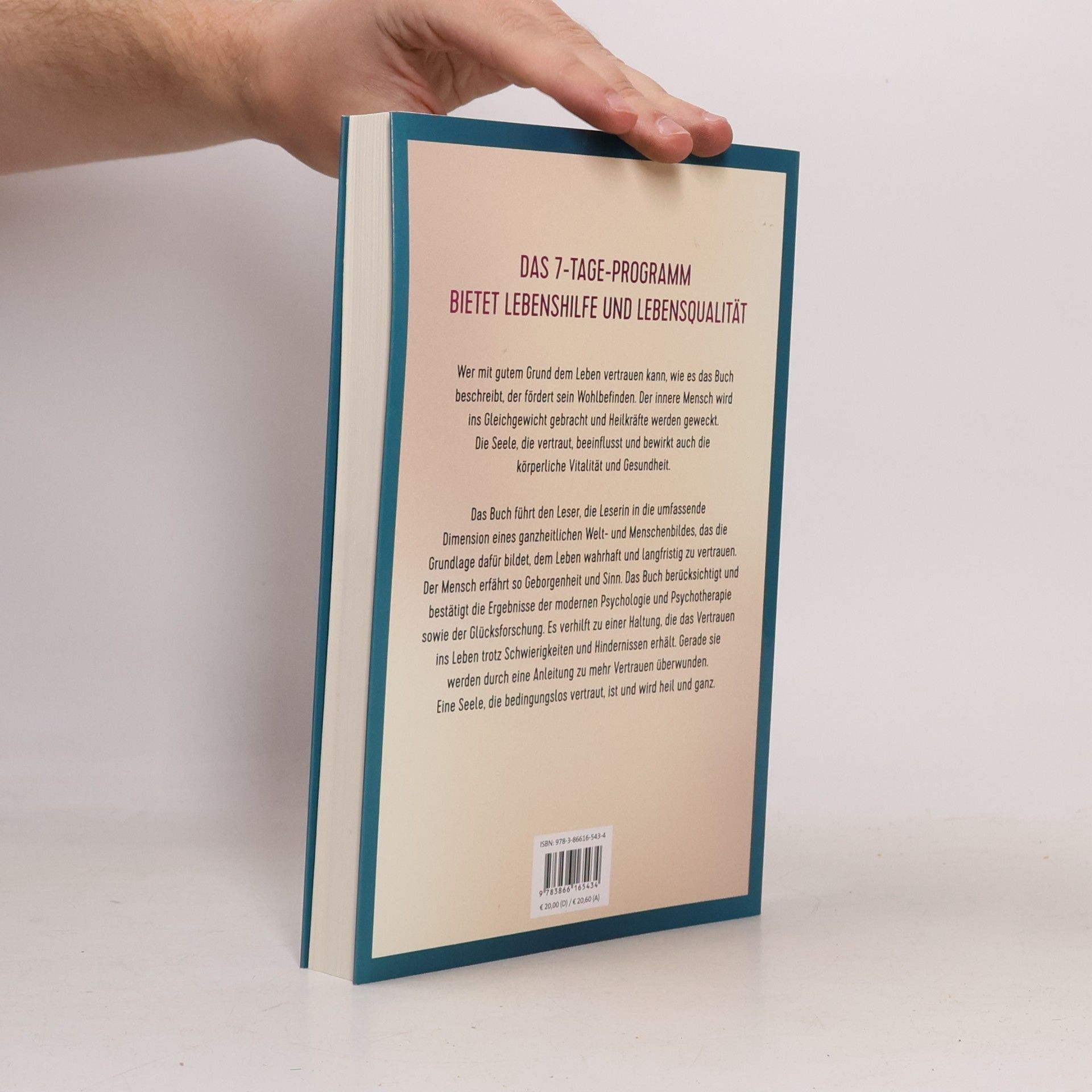 Urs-Beat Fringeli Die heilende Kraft des Vertrauens