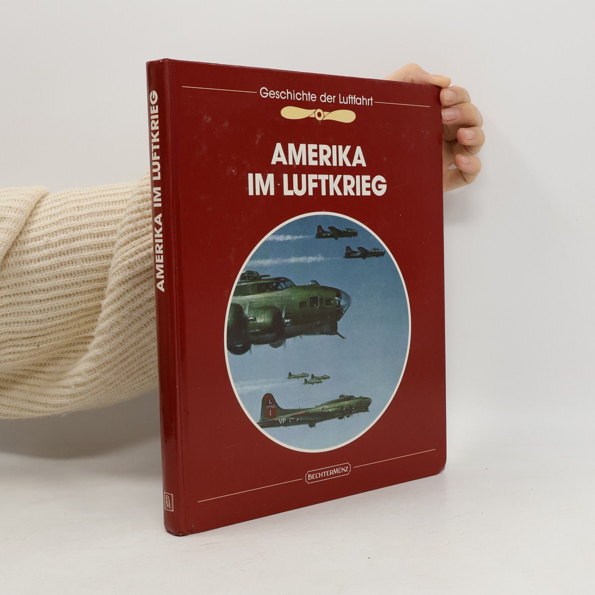 Dale M. Brown Amerika im Luftkrieg