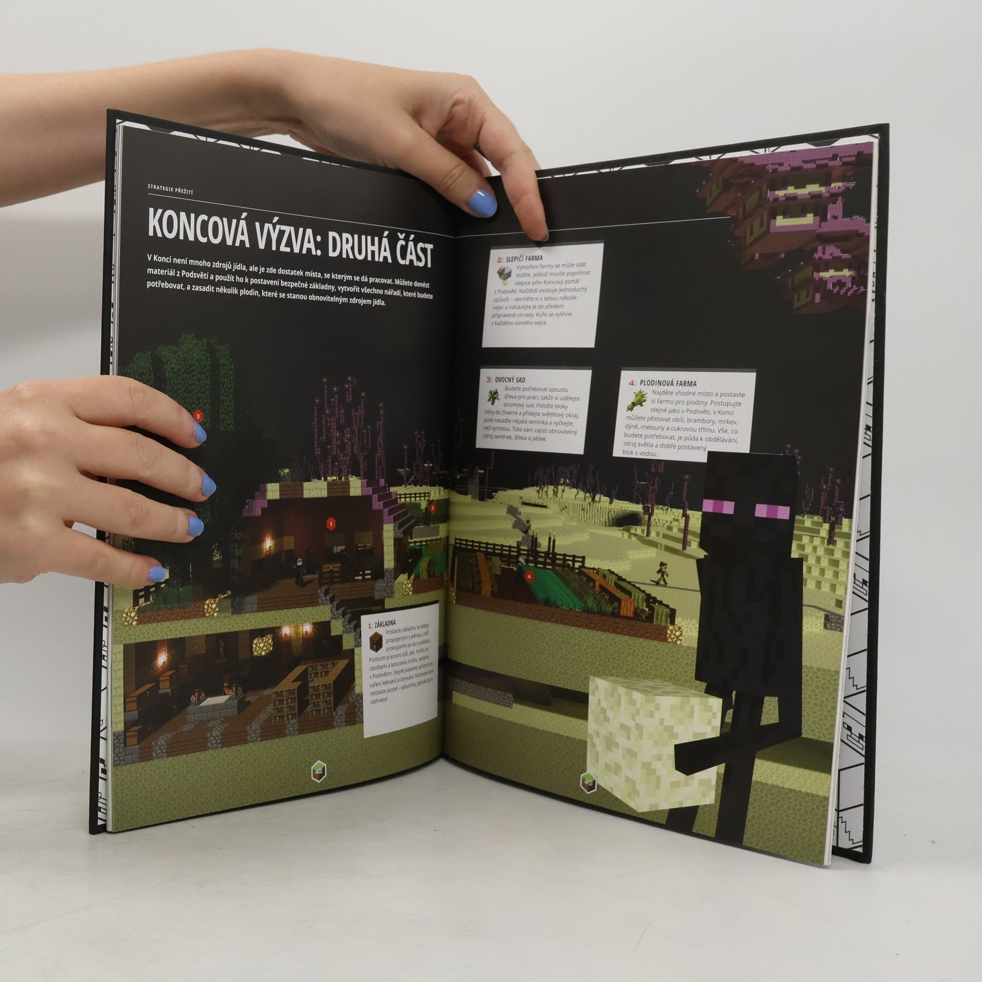 Stephanie Milton Minecraft : ročenka 2017