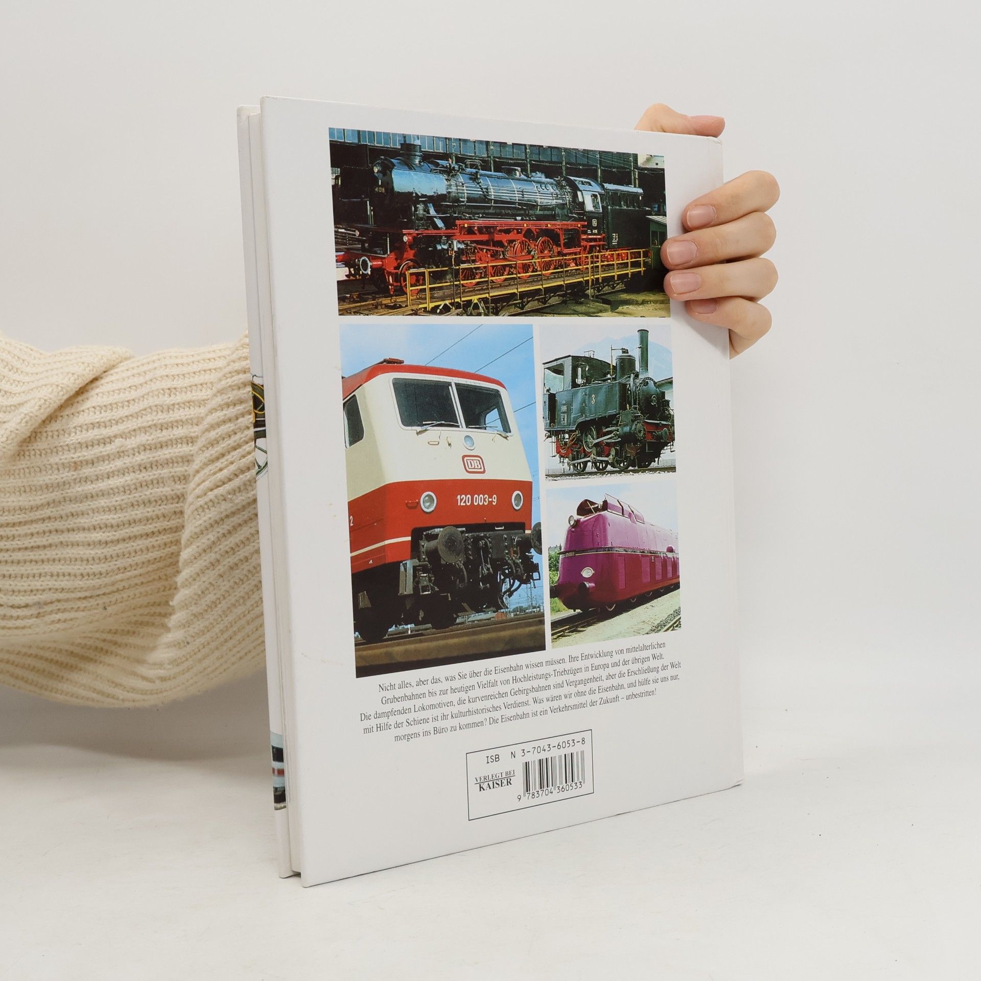 Rolf L. Temming Das grosse Eisenbahnbuch
