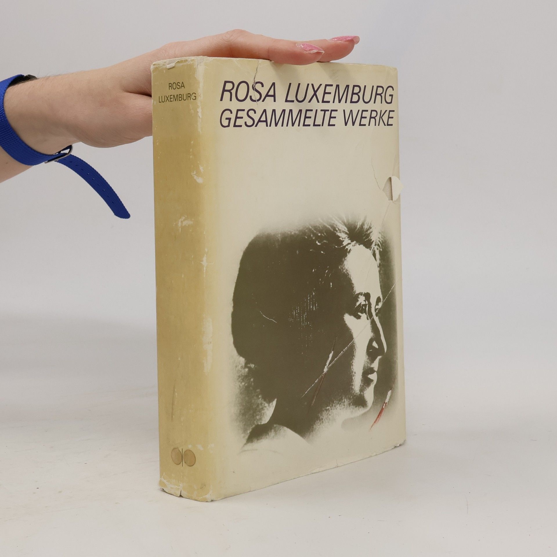 Rosa Luxemburg Gesammelte Werke