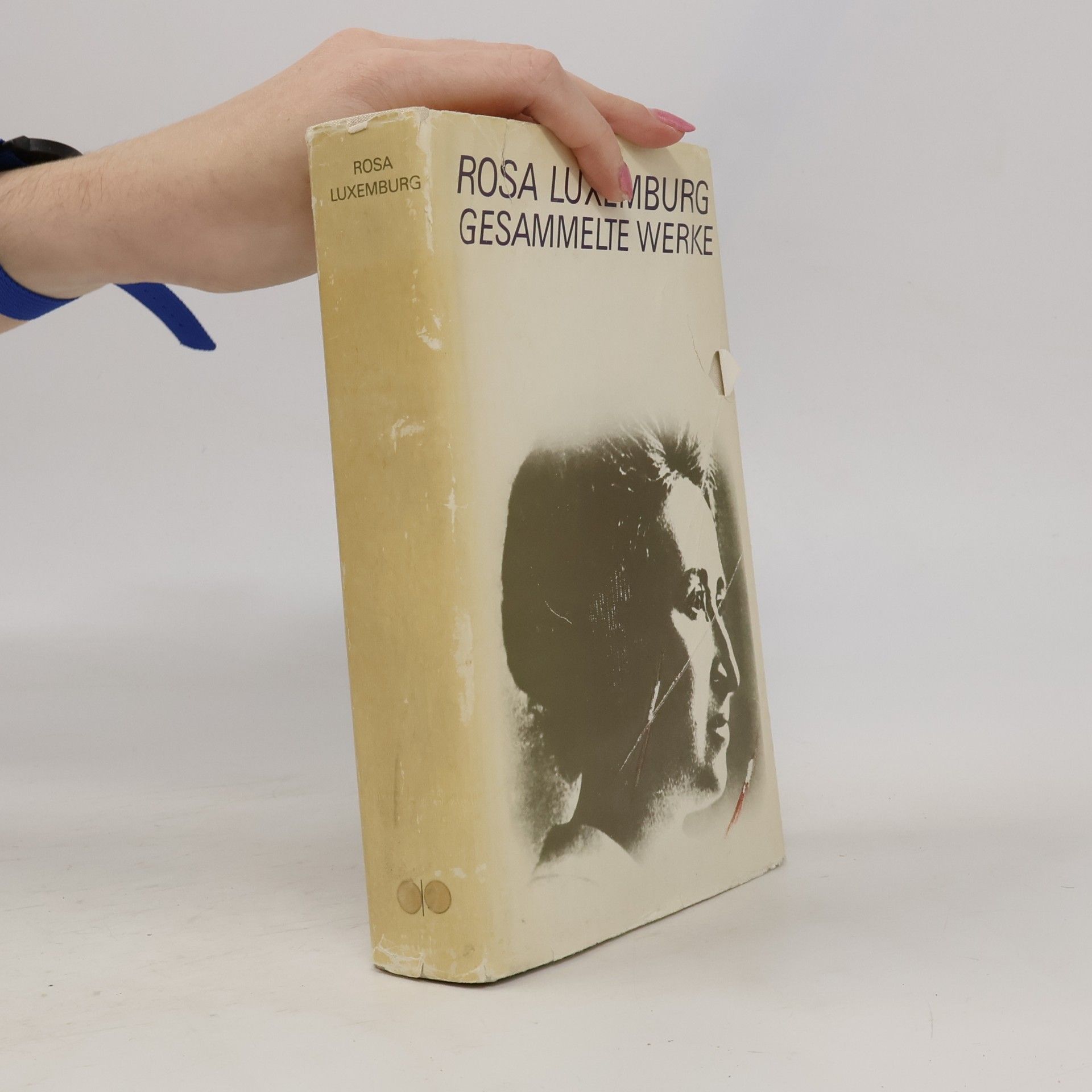 Rosa Luxemburg Gesammelte Werke