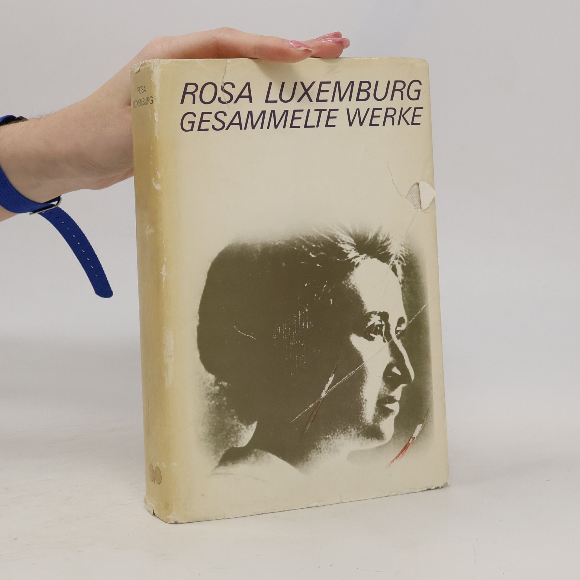 Rosa Luxemburg Gesammelte Werke