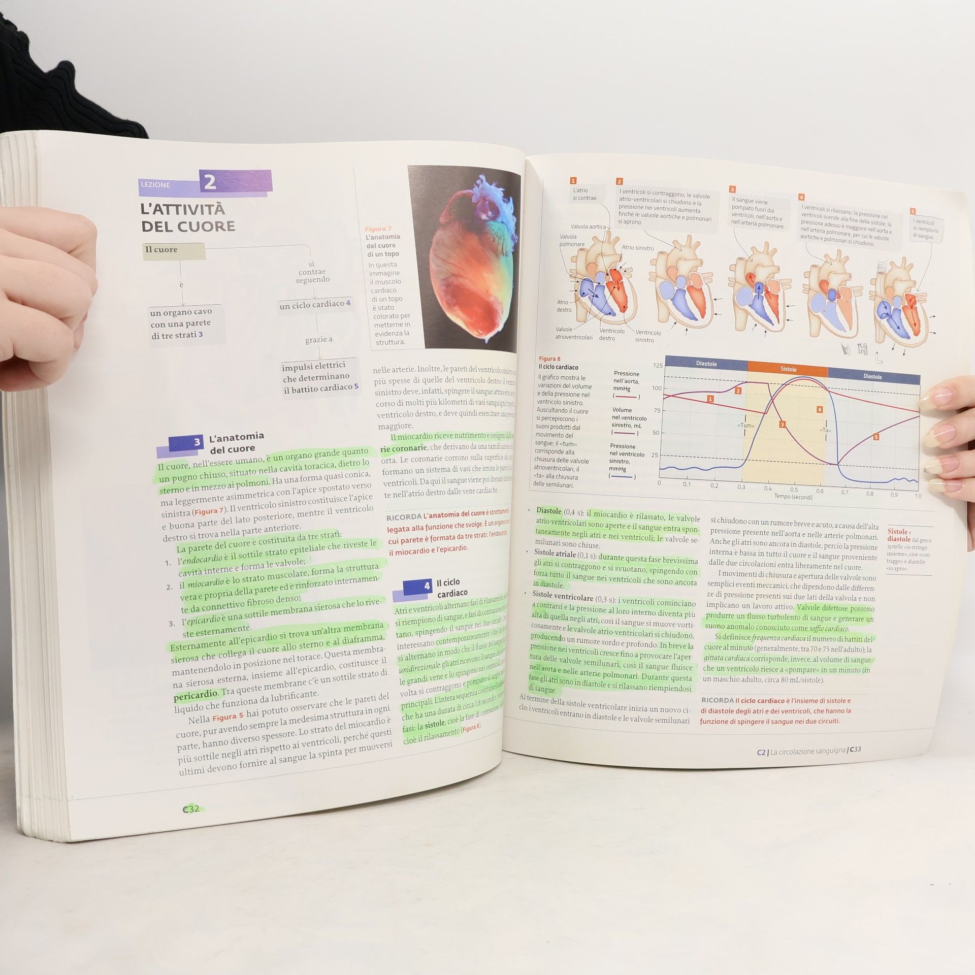 David E. Sadava La nuova biologia.blu