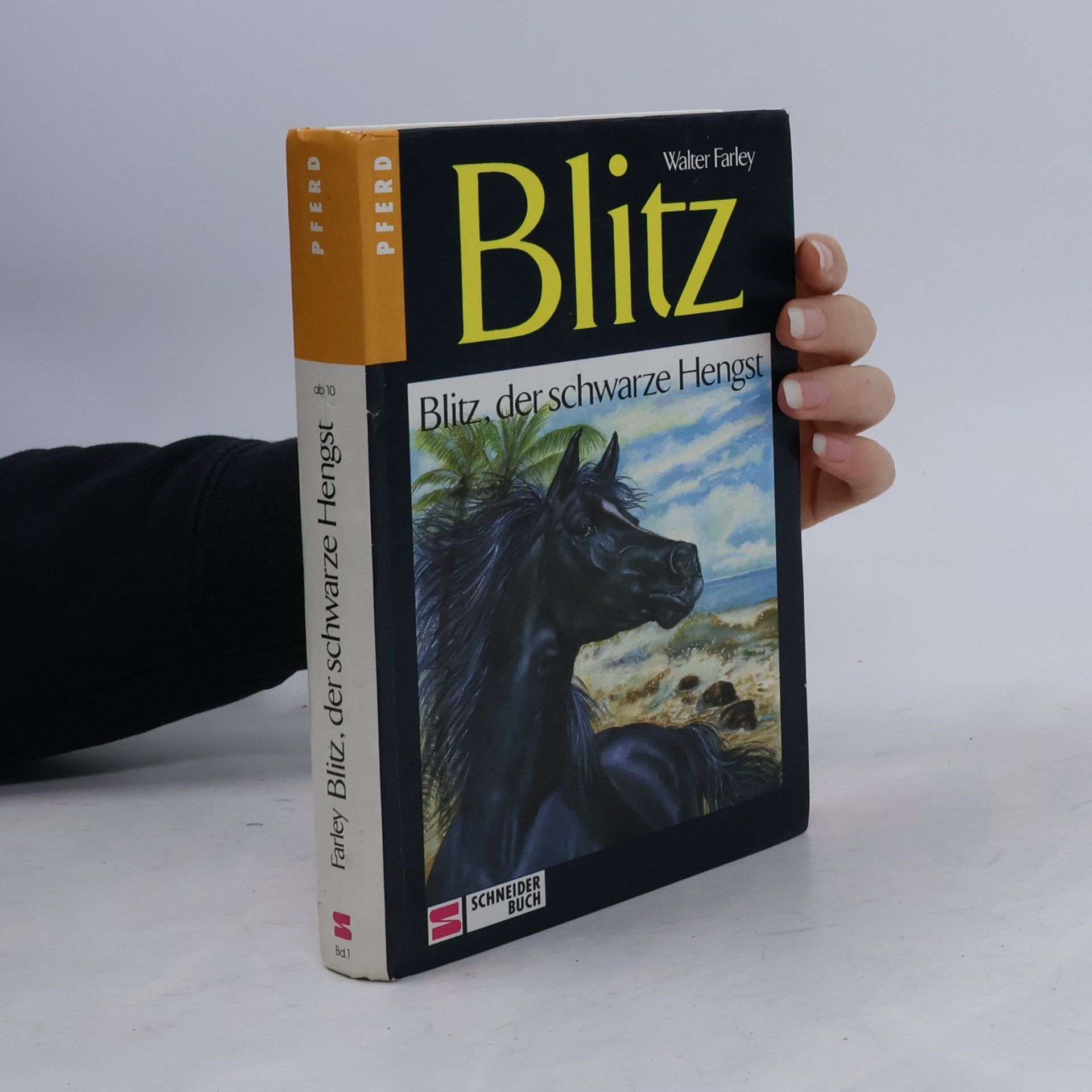 Blitz, der schwarze Hengst