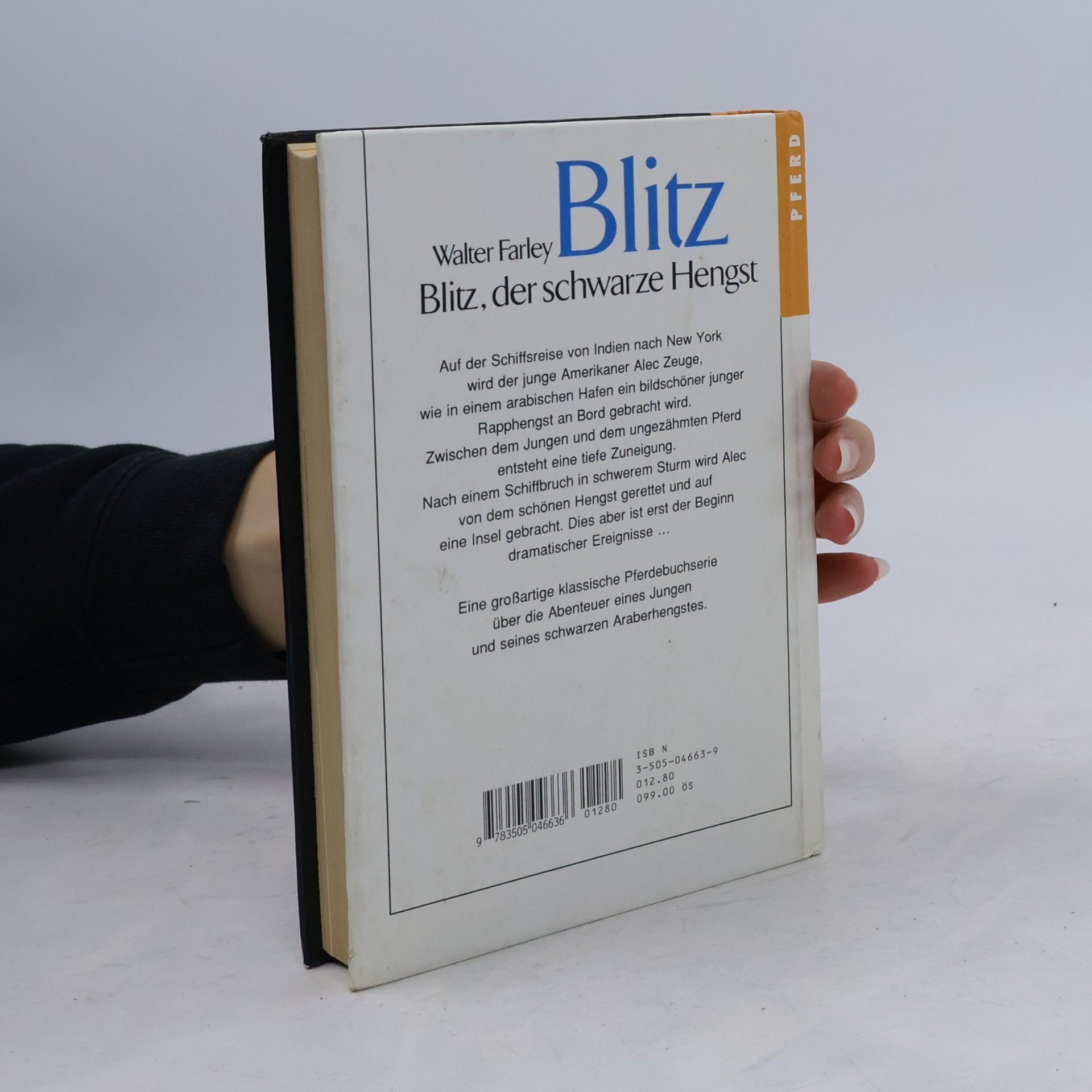 Walter Farley Blitz, der schwarze Hengst