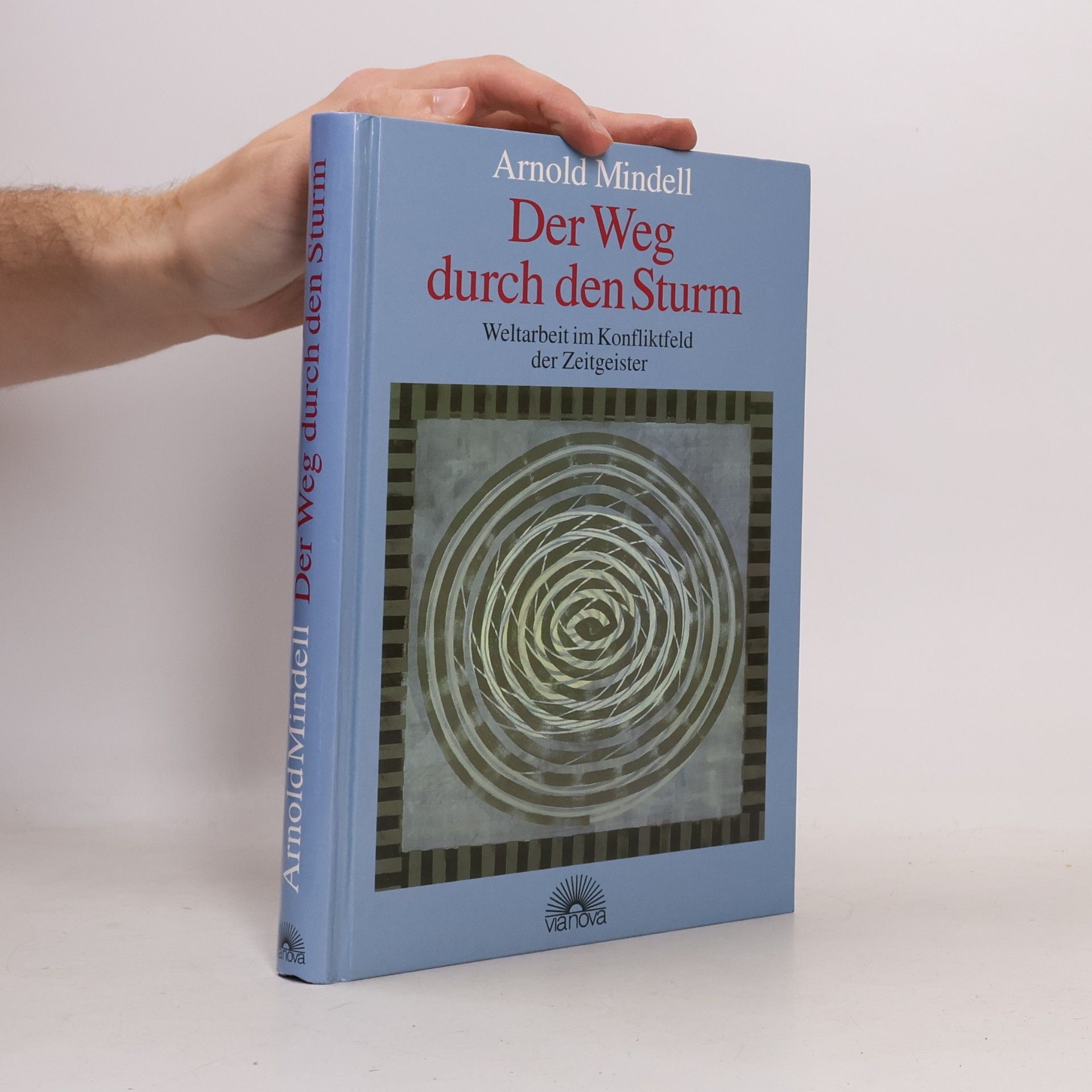 Arnold Mindell Der Weg durch den Sturm