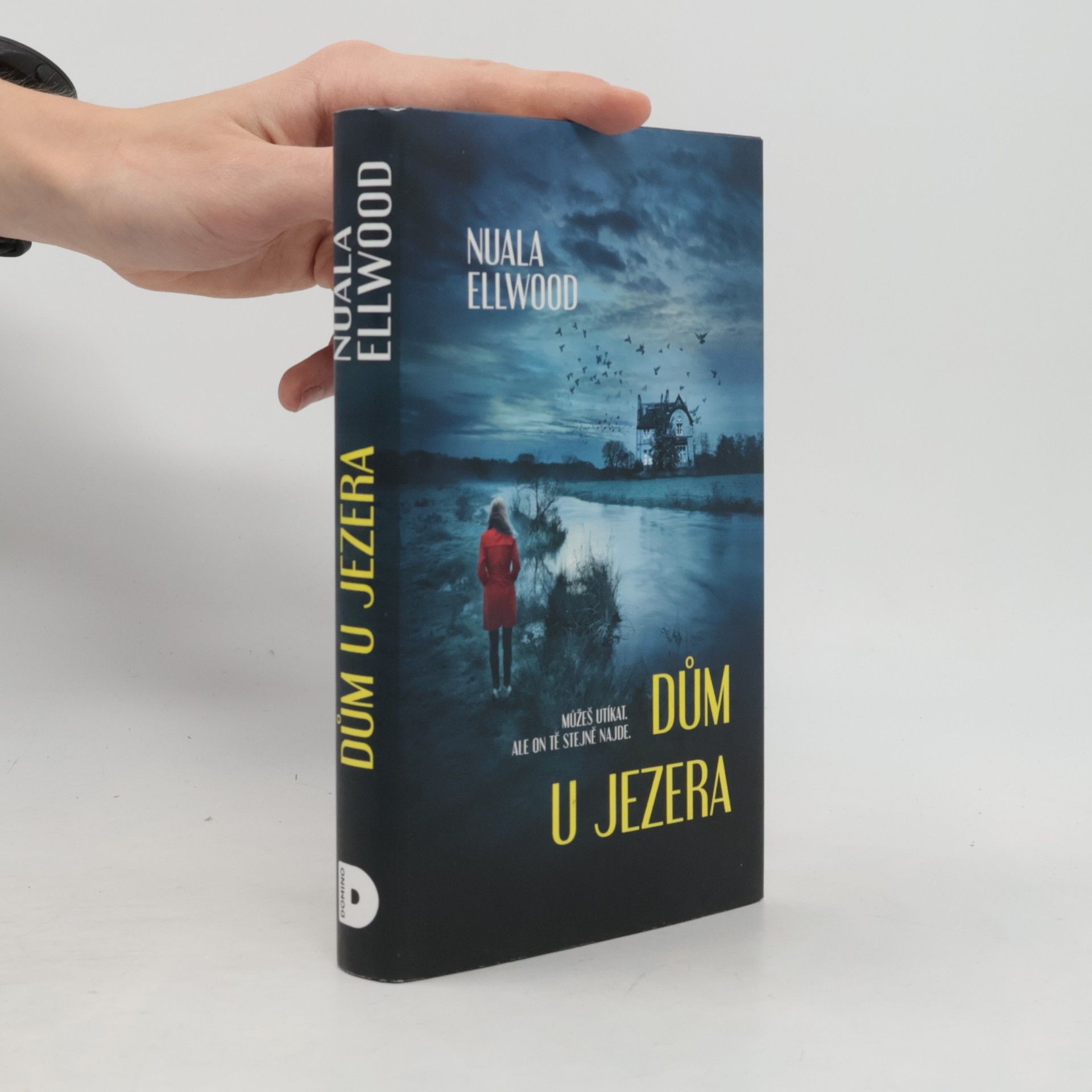 Nuala Ellwood Dům u jezera