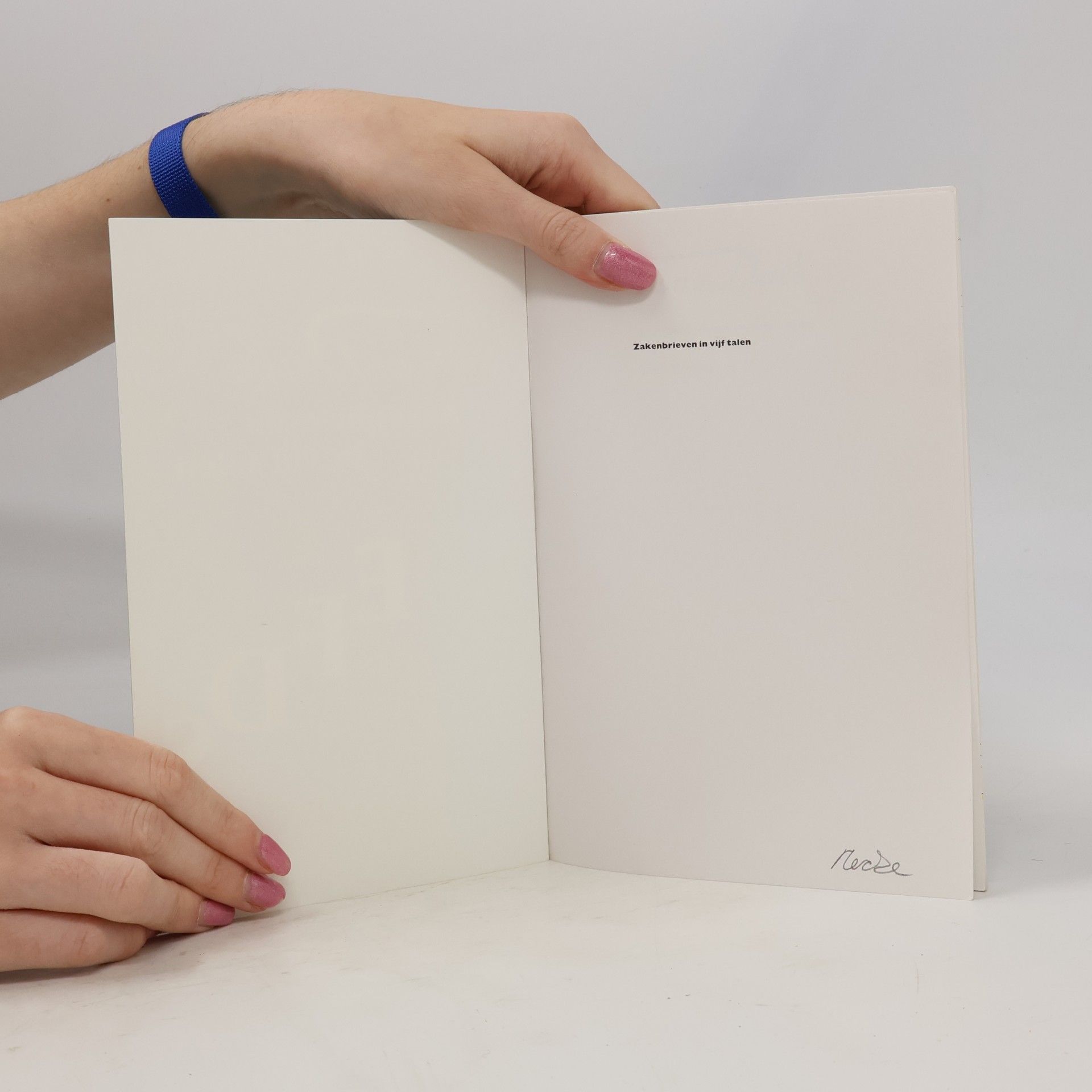 M. Hannay Van Dale Zakenbrieven in vijf talen