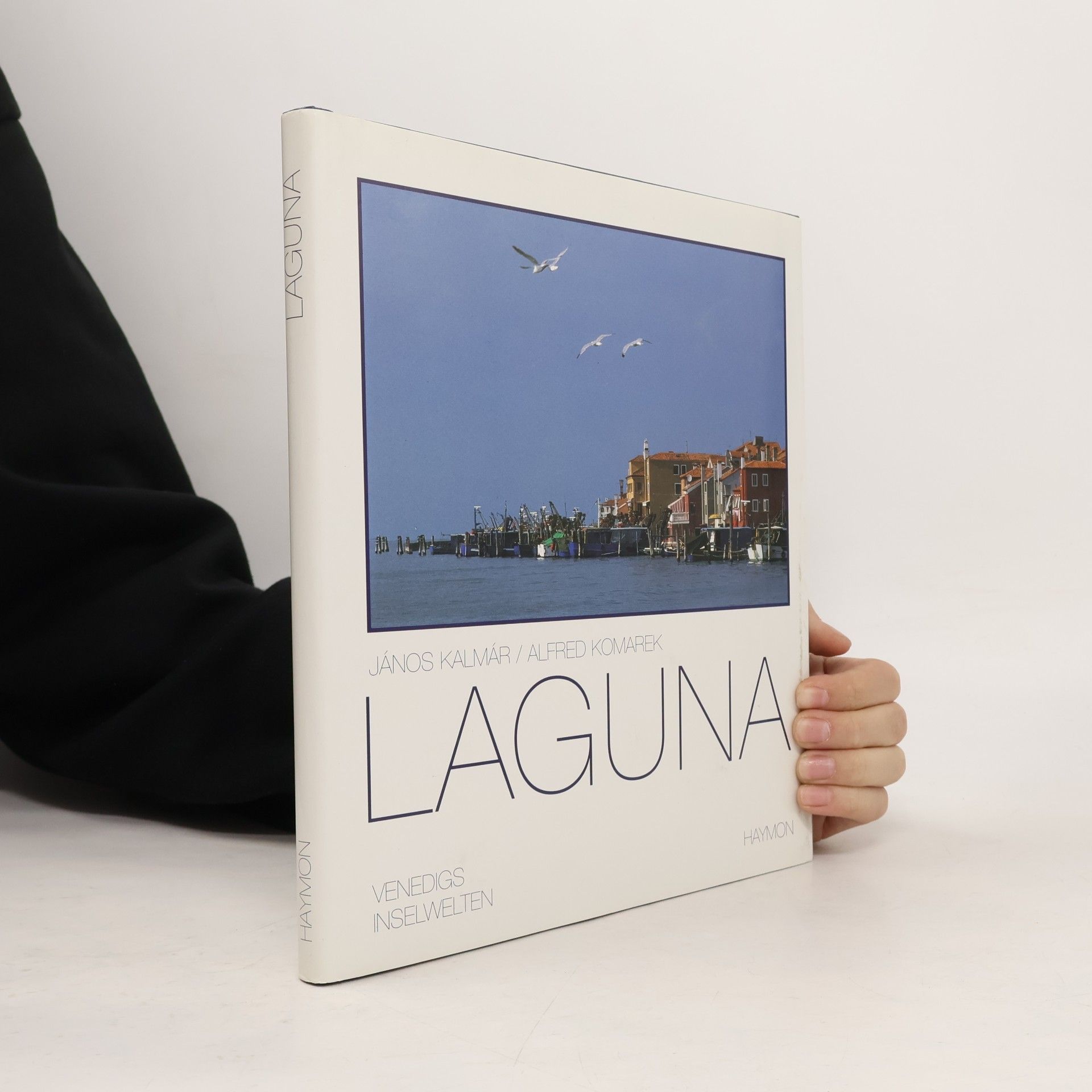 Laguna