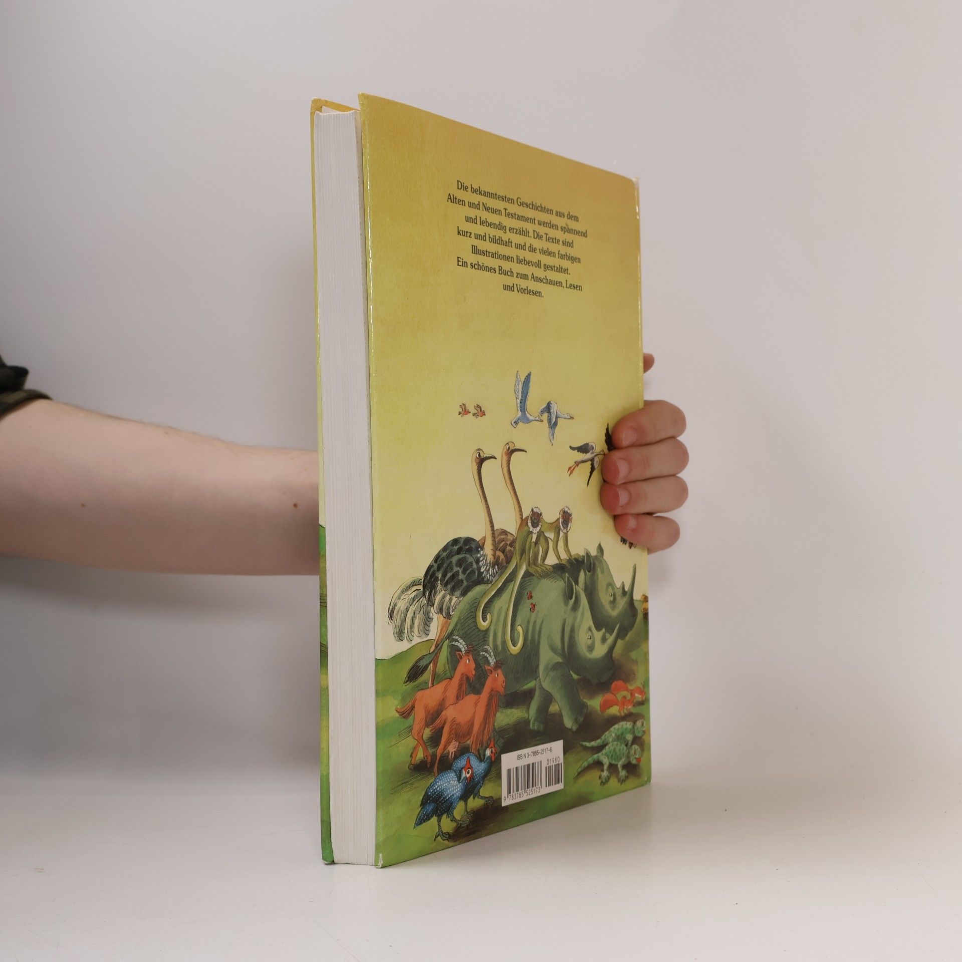 Detlev Block Die große bunte Kinderbibel