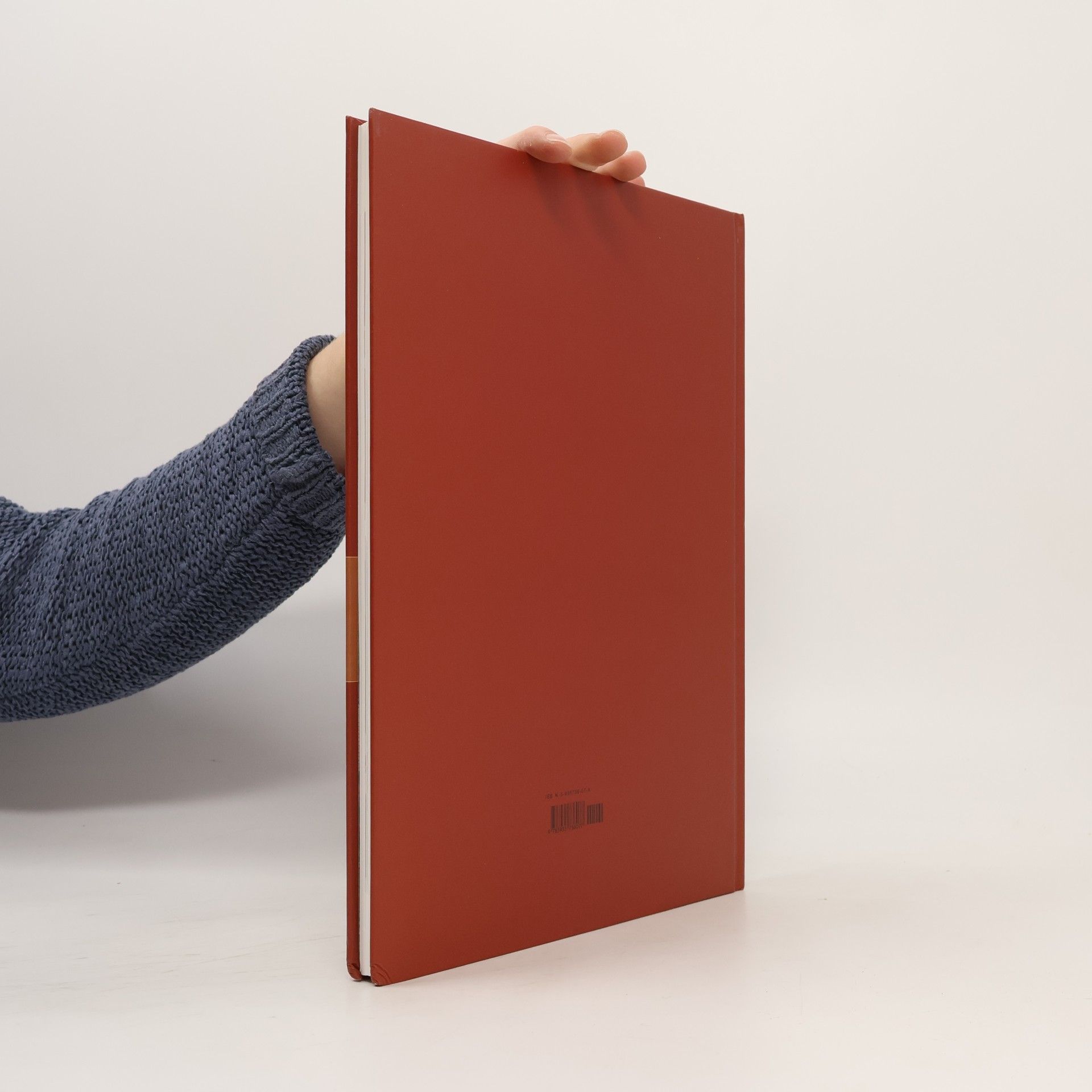 Alfons Schweiggert Das Windrad von Berg am Starnberger See