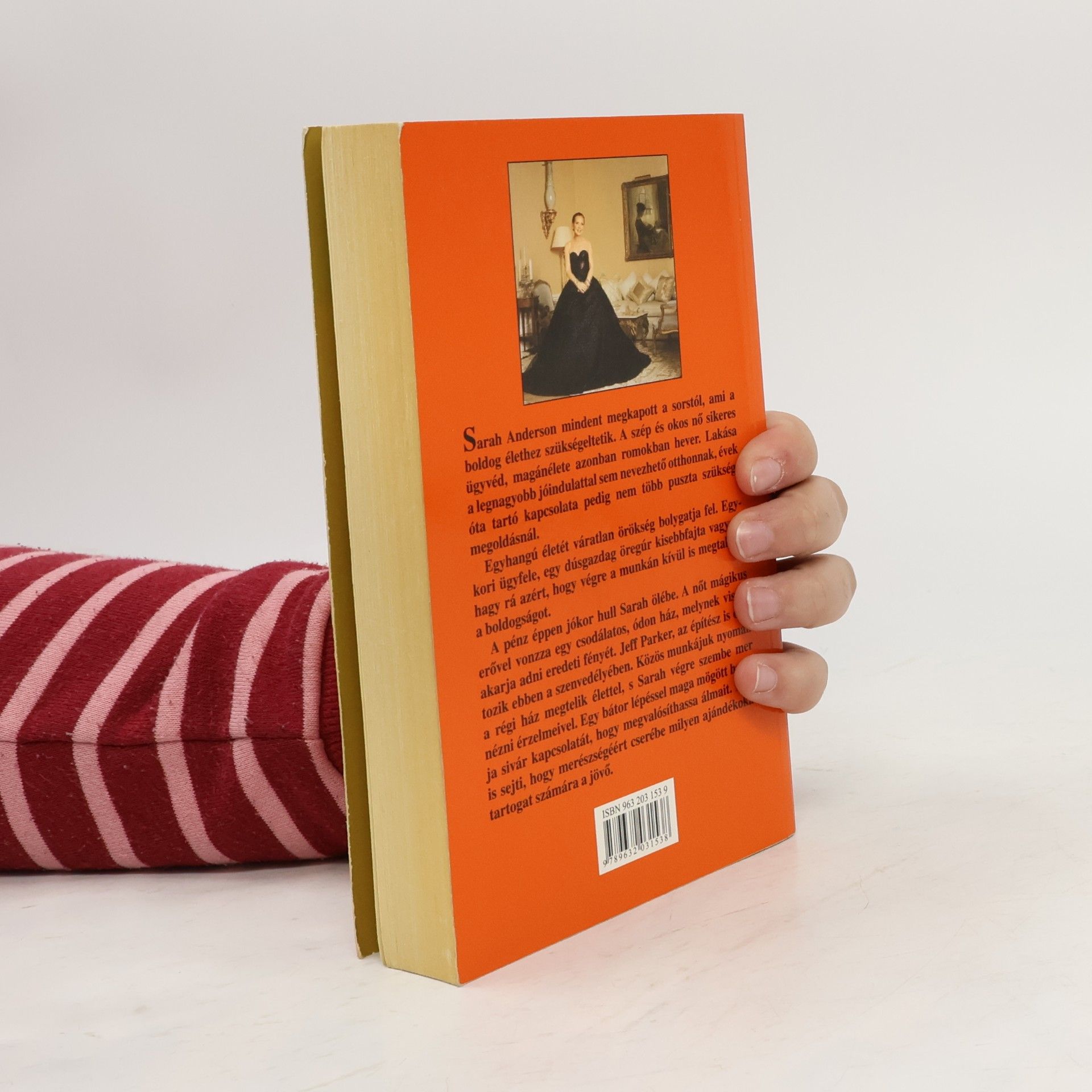 Danielle Steel A Ház