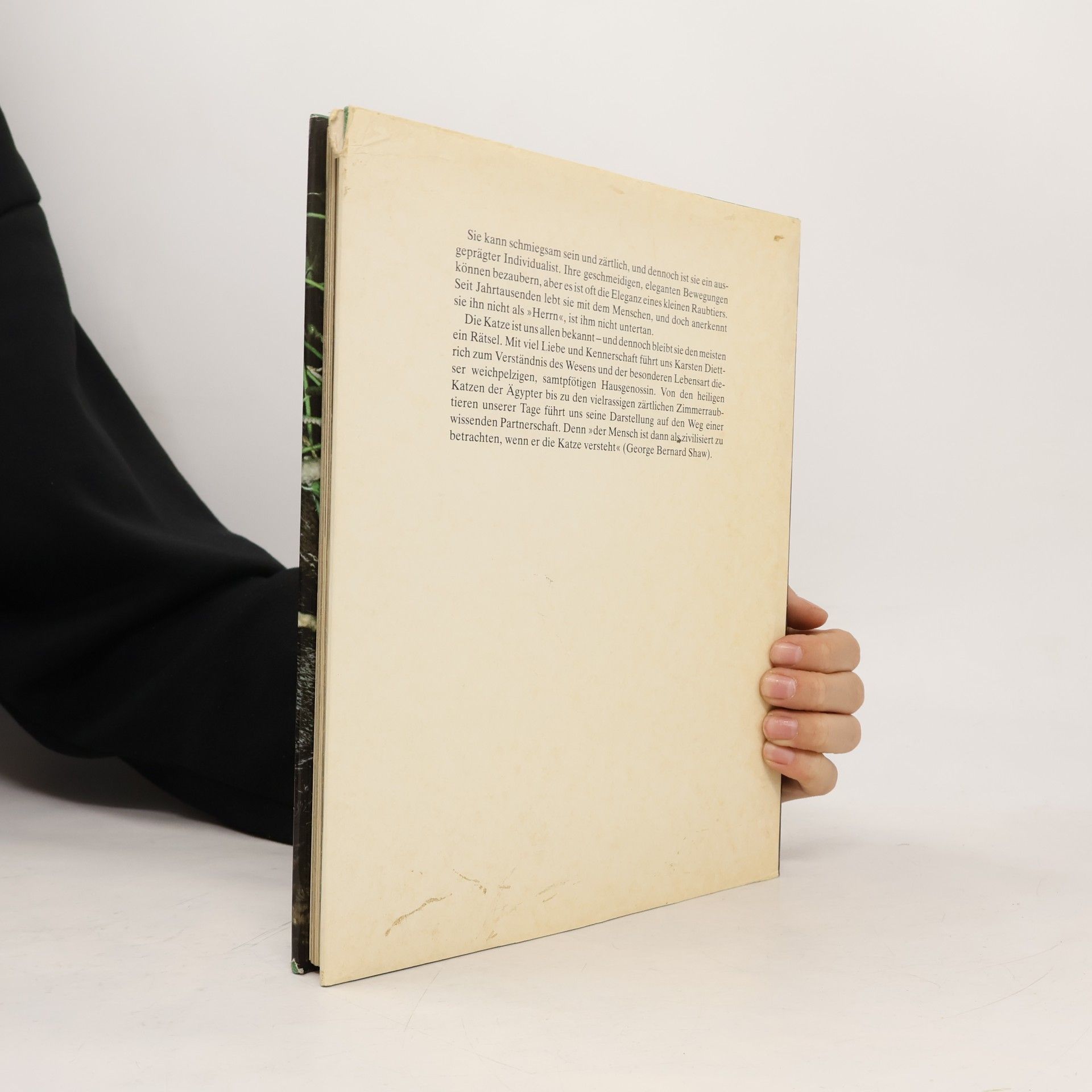 Collectif d'auteurs Katzen Partner des Menschen