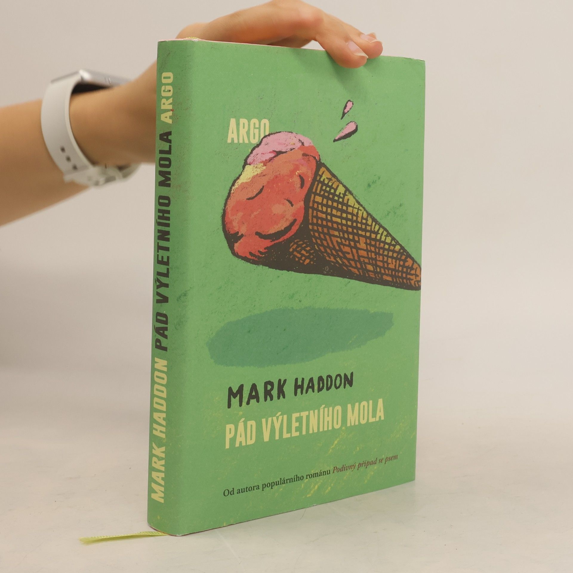 Mark Haddon Pád výletního mola