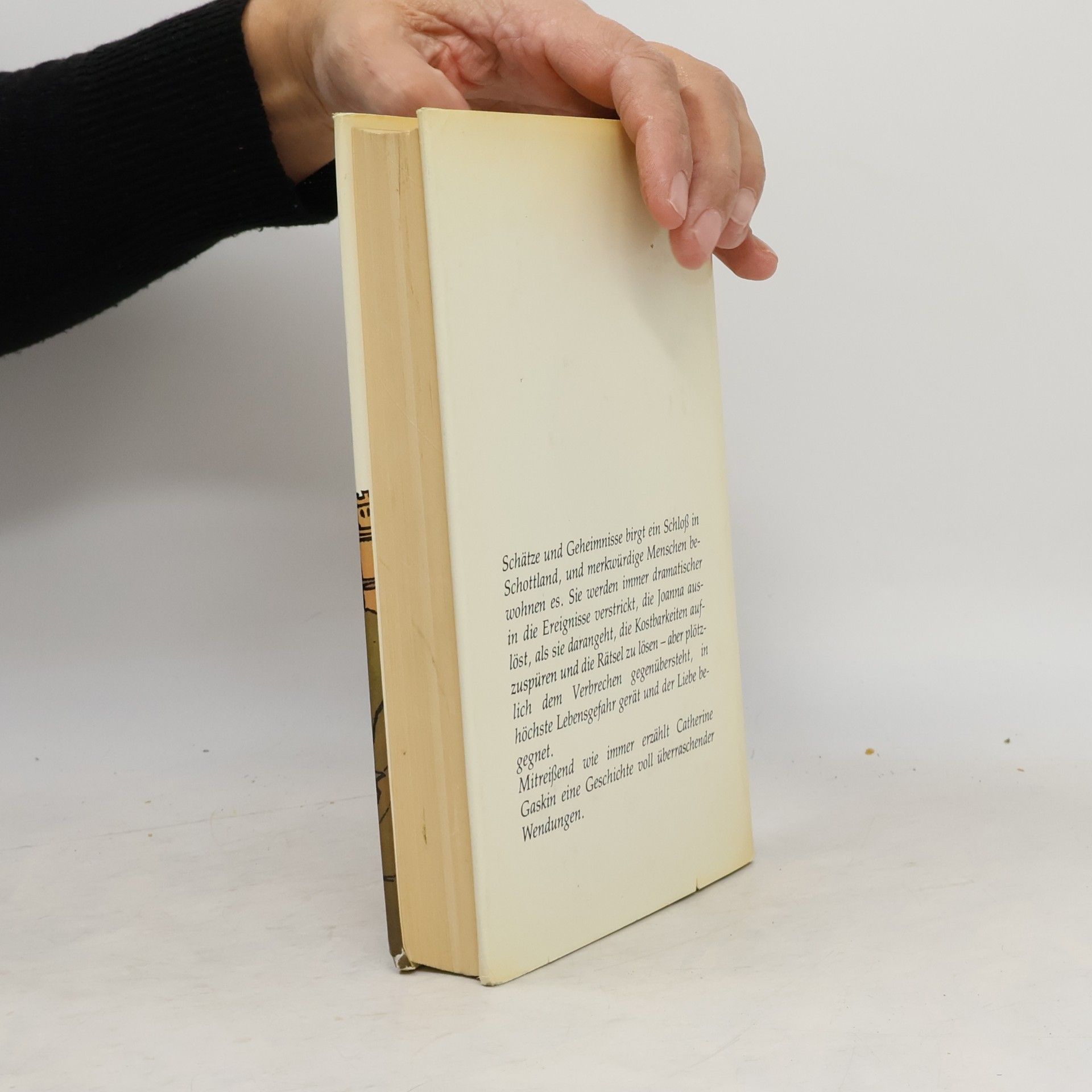 Catherine Gaskin Ein Windspiel im Nebel