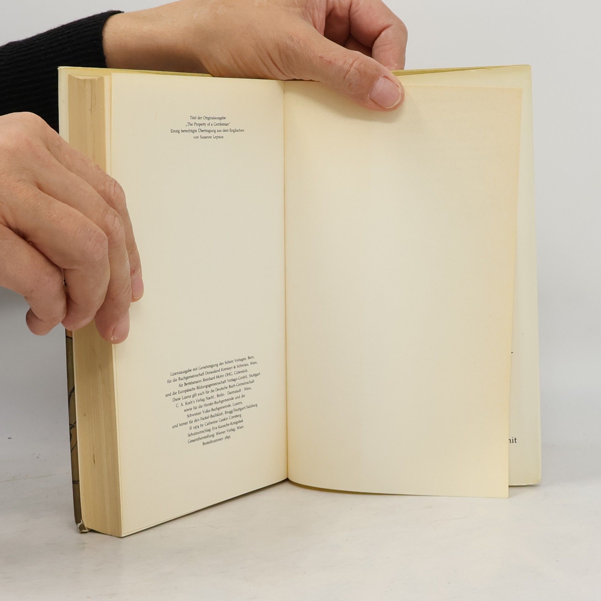 Catherine Gaskin Ein Windspiel im Nebel