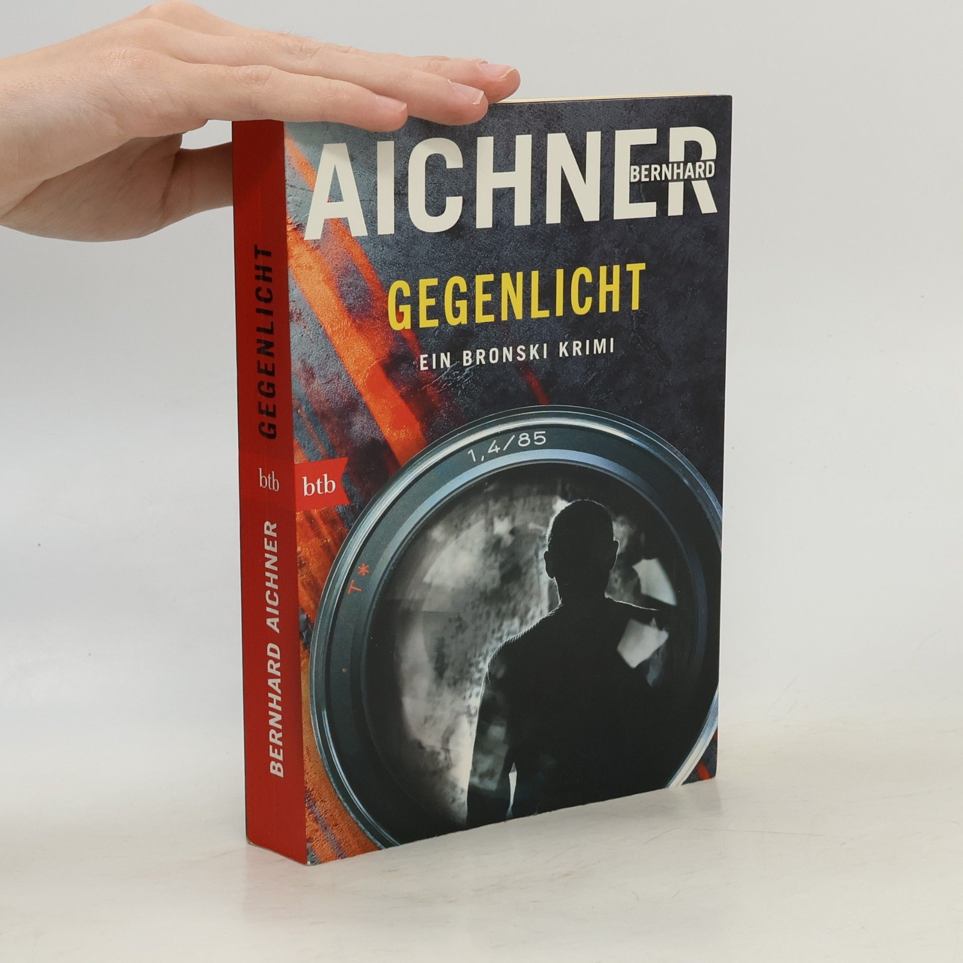 Bernhard Aichner Gegenlicht