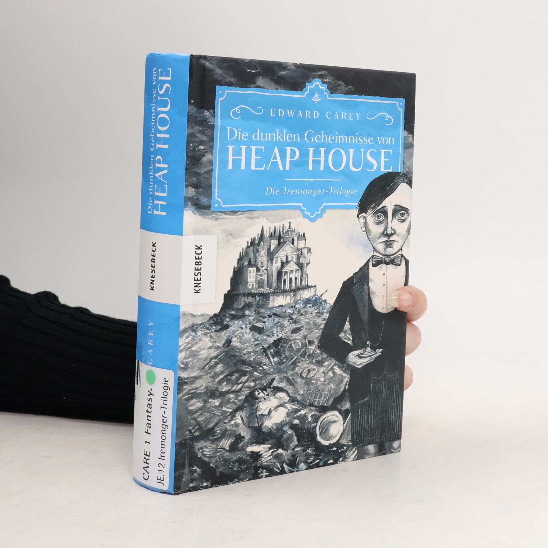 Edward Carey Die dunklen Geheimnisse von Heap House
