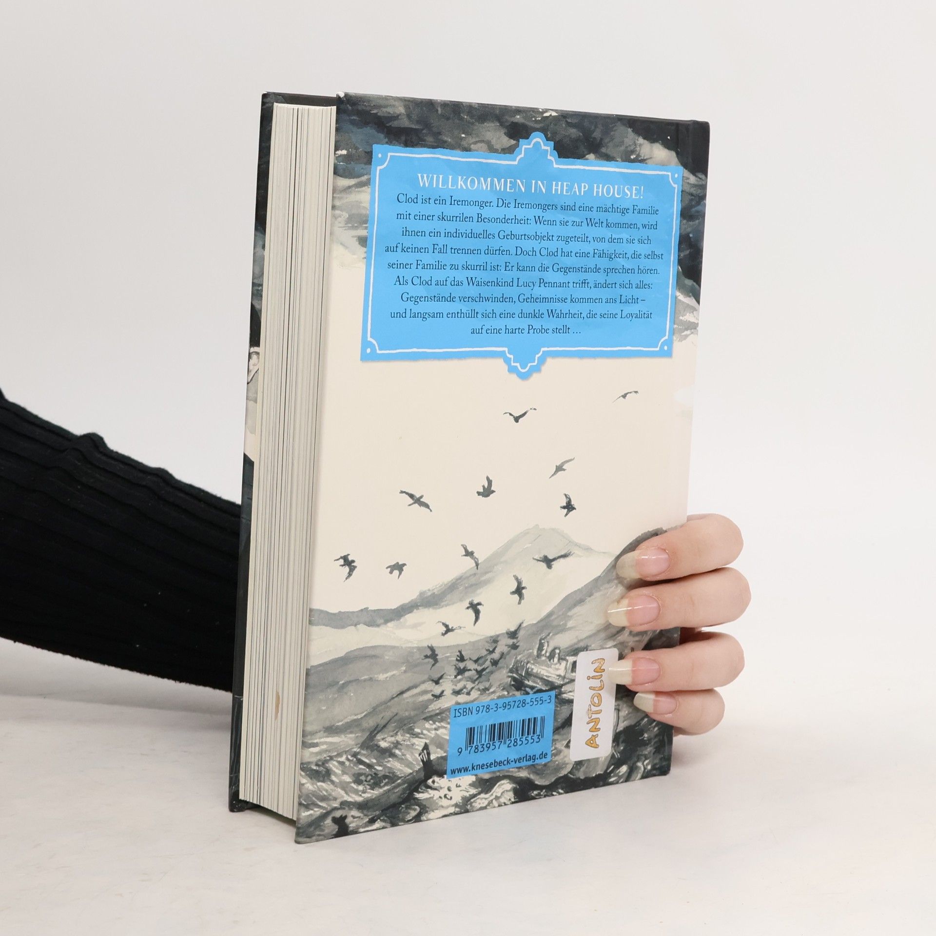 Edward Carey Die dunklen Geheimnisse von Heap House