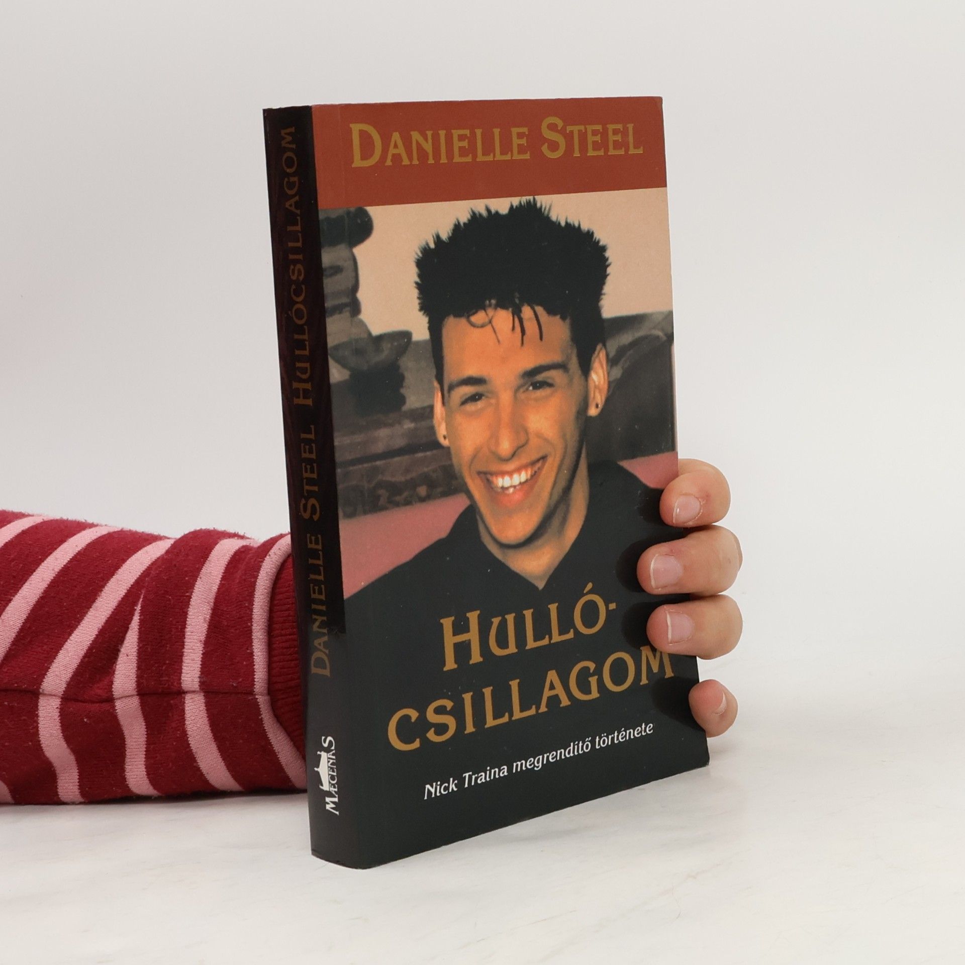 Danielle Steel Hullócsillagom