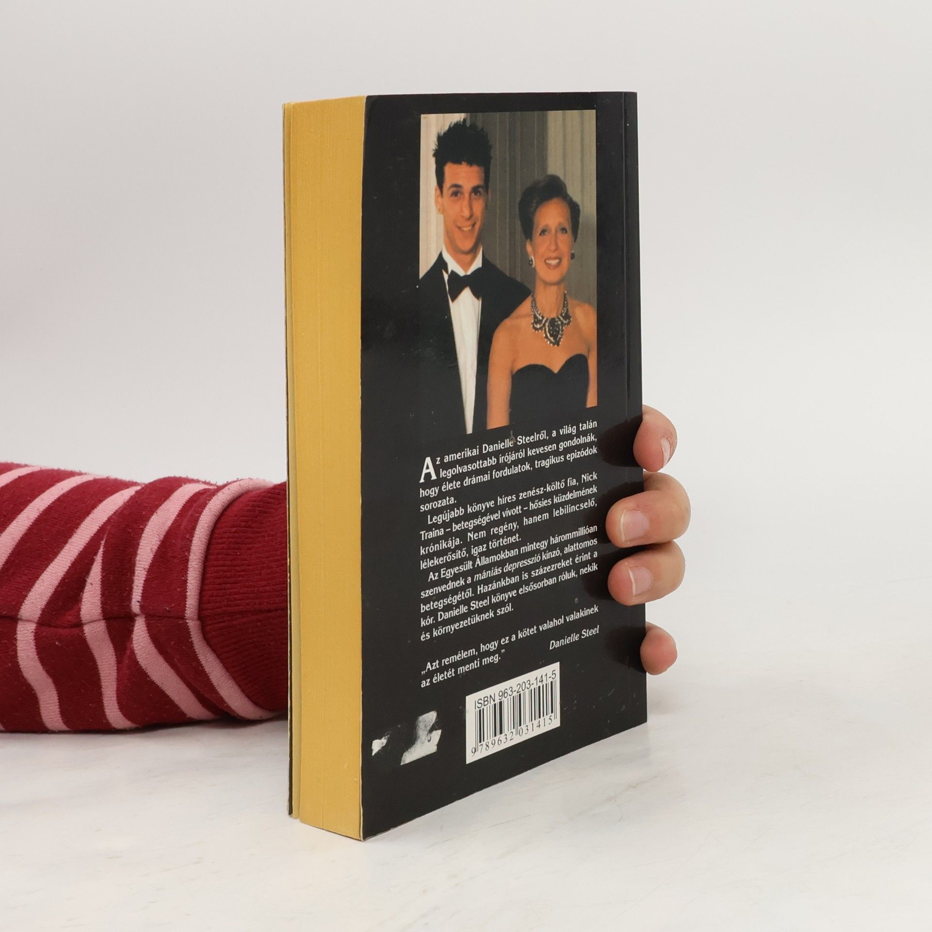 Danielle Steel Hullócsillagom