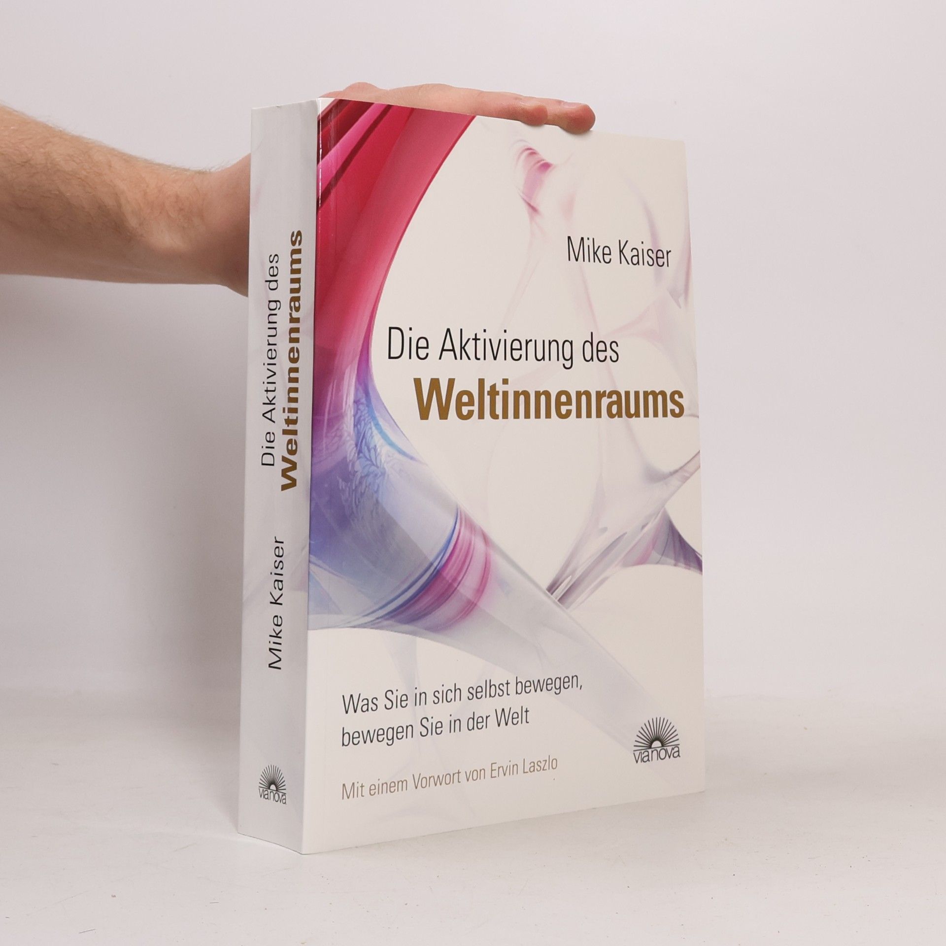 Mike Kaiser Die Aktivierung des Weltinnenraums