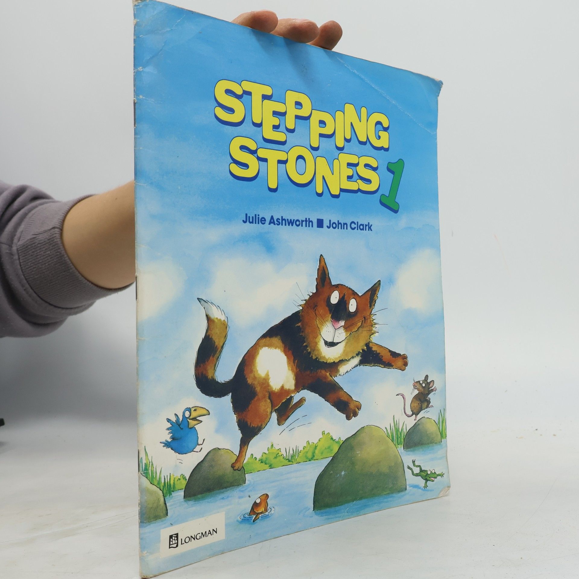 Stepping Stones 1