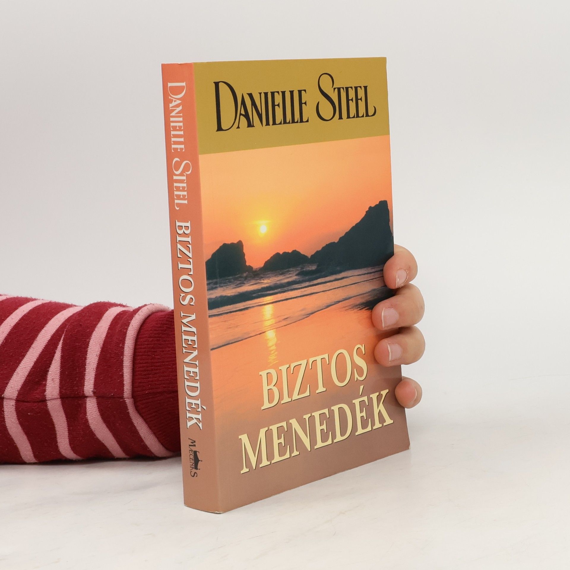Danielle Steel Biztos menedék