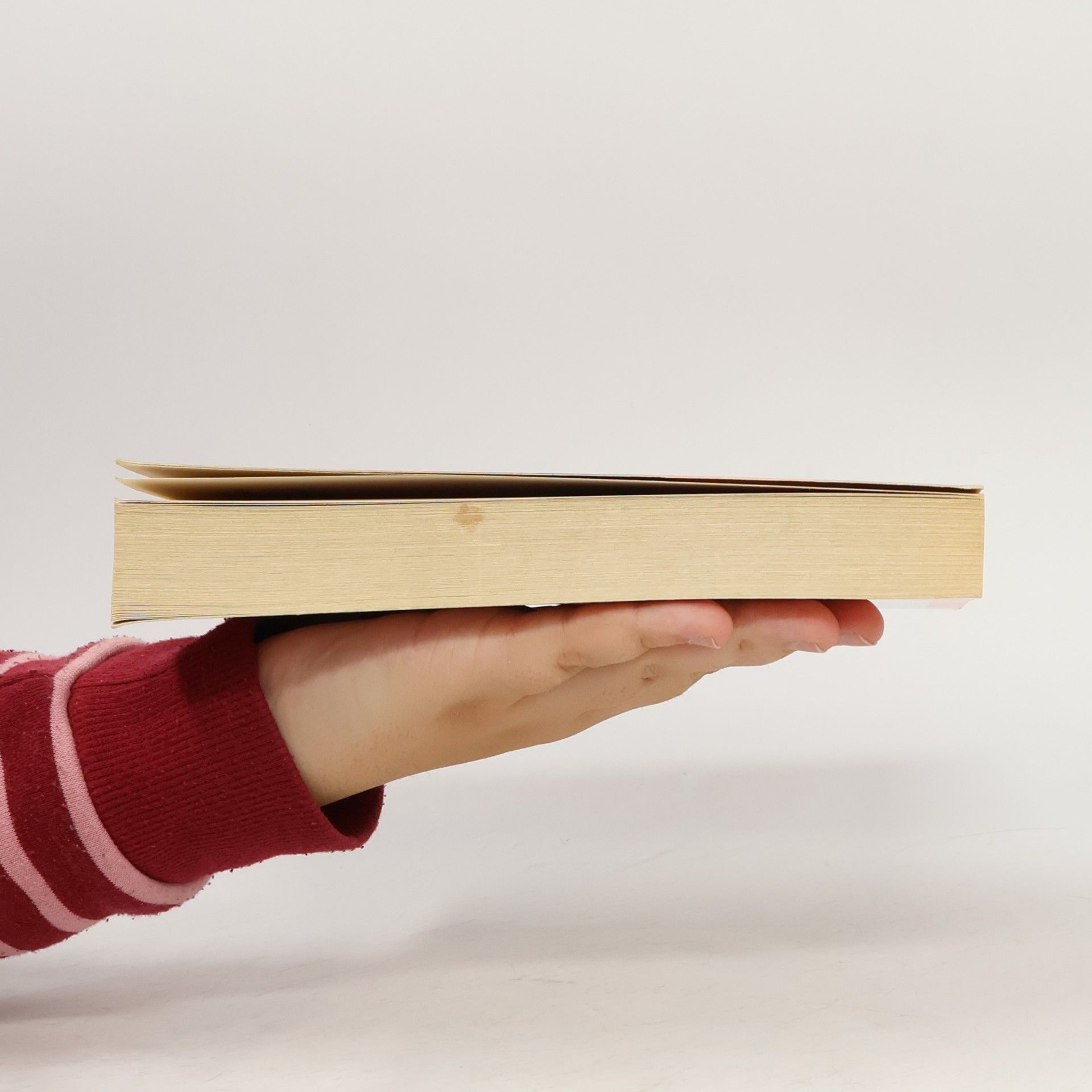 Danielle Steel Biztos menedék