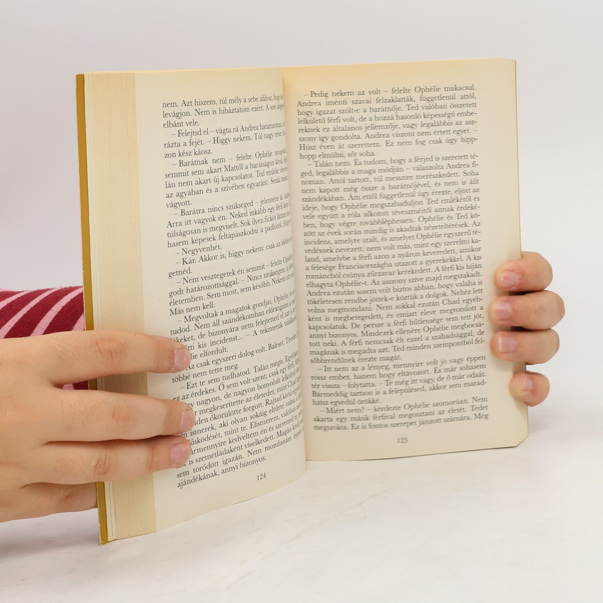 Danielle Steel Biztos menedék