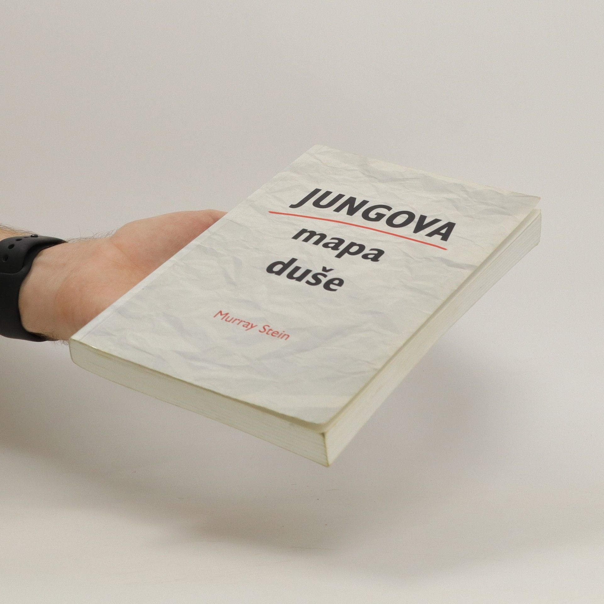 Murray B. Stein Jungova mapa duše