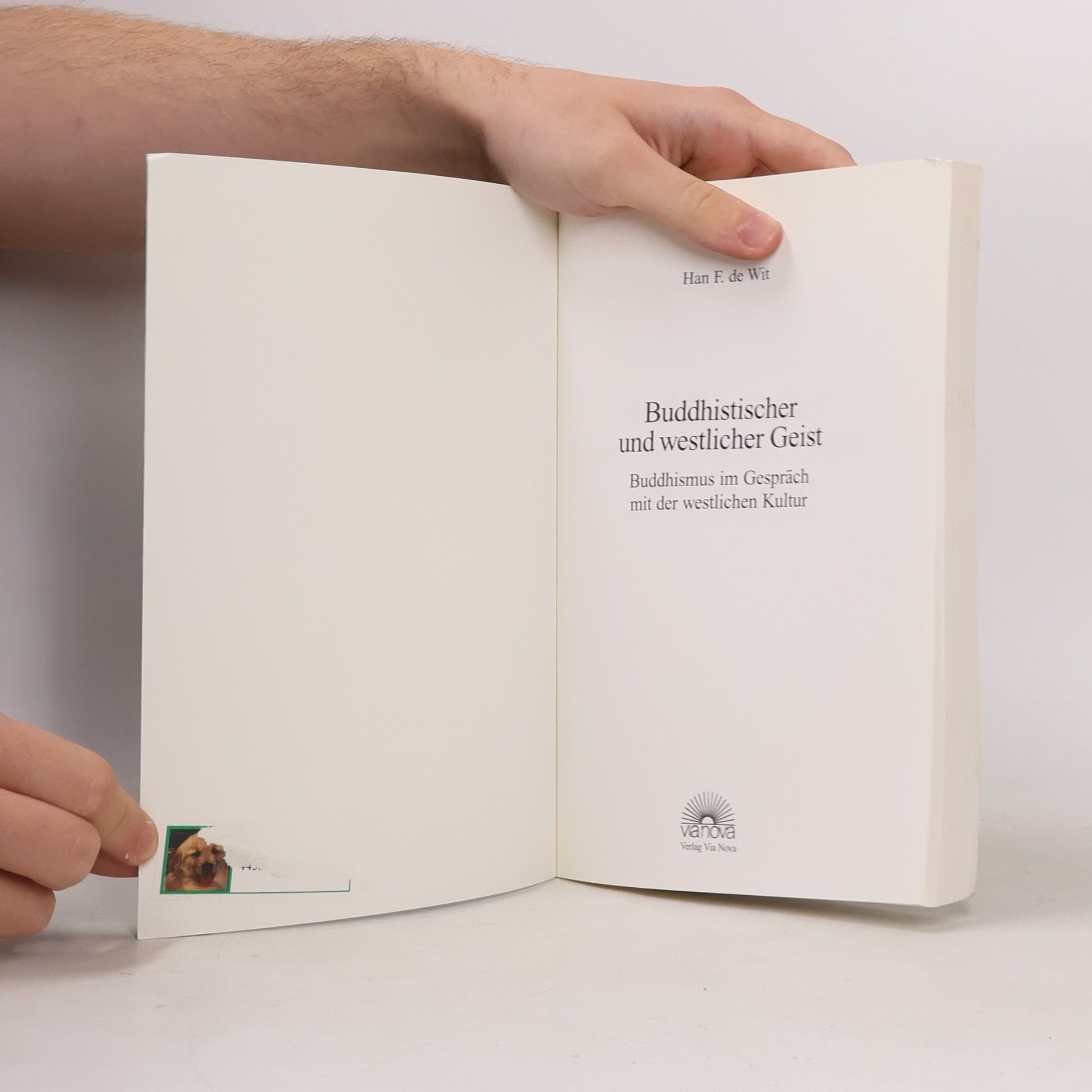 Han F. de Wit Buddhistischer und westlicher Geist