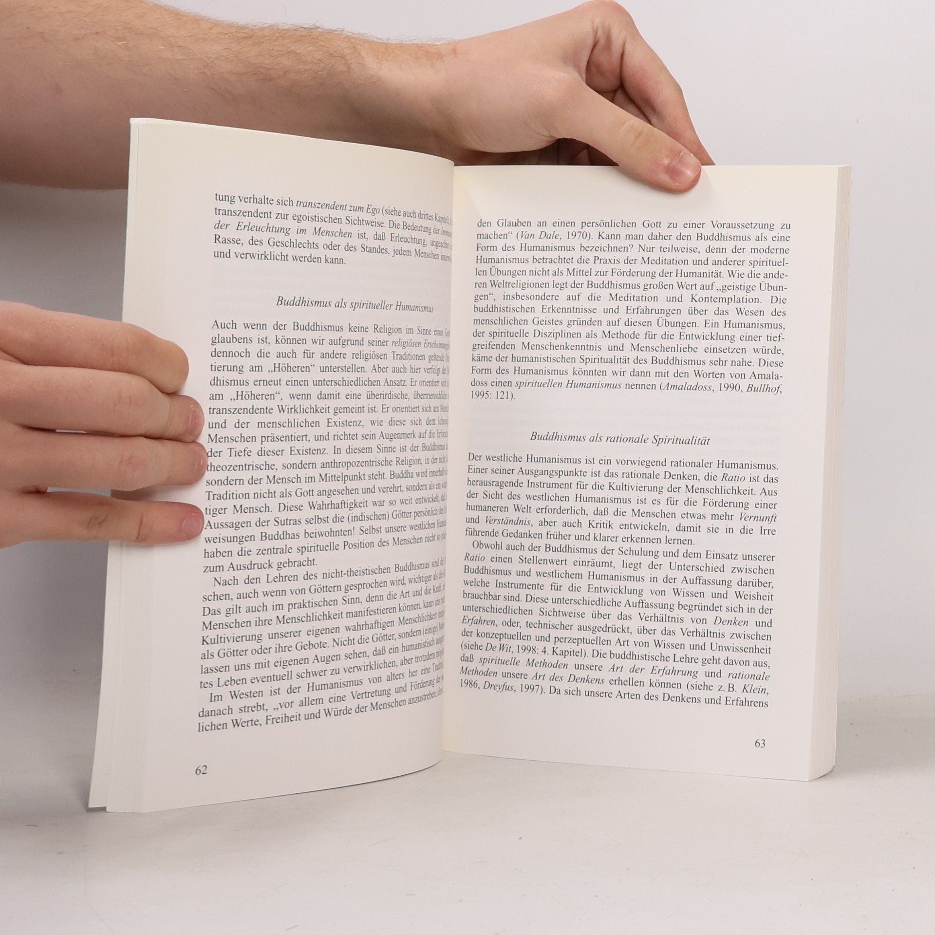 Han F. de Wit Buddhistischer und westlicher Geist