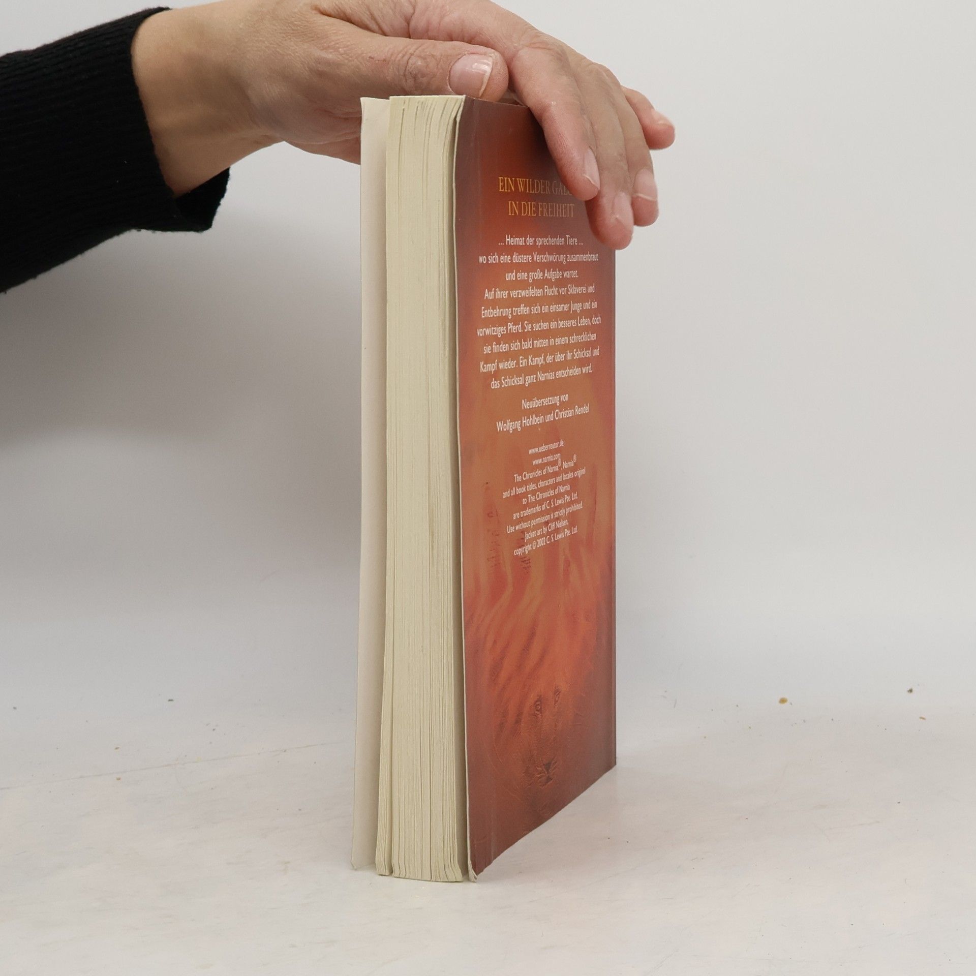 Clive Staples Lewis Die Chroniken von Narnia. Der Ritt nach Narnia
