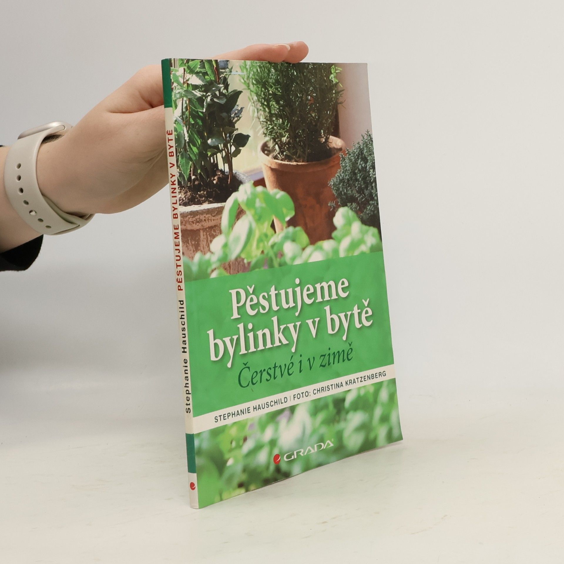 Pěstujeme bylinky v bytě. Čerstvé i v zimě
