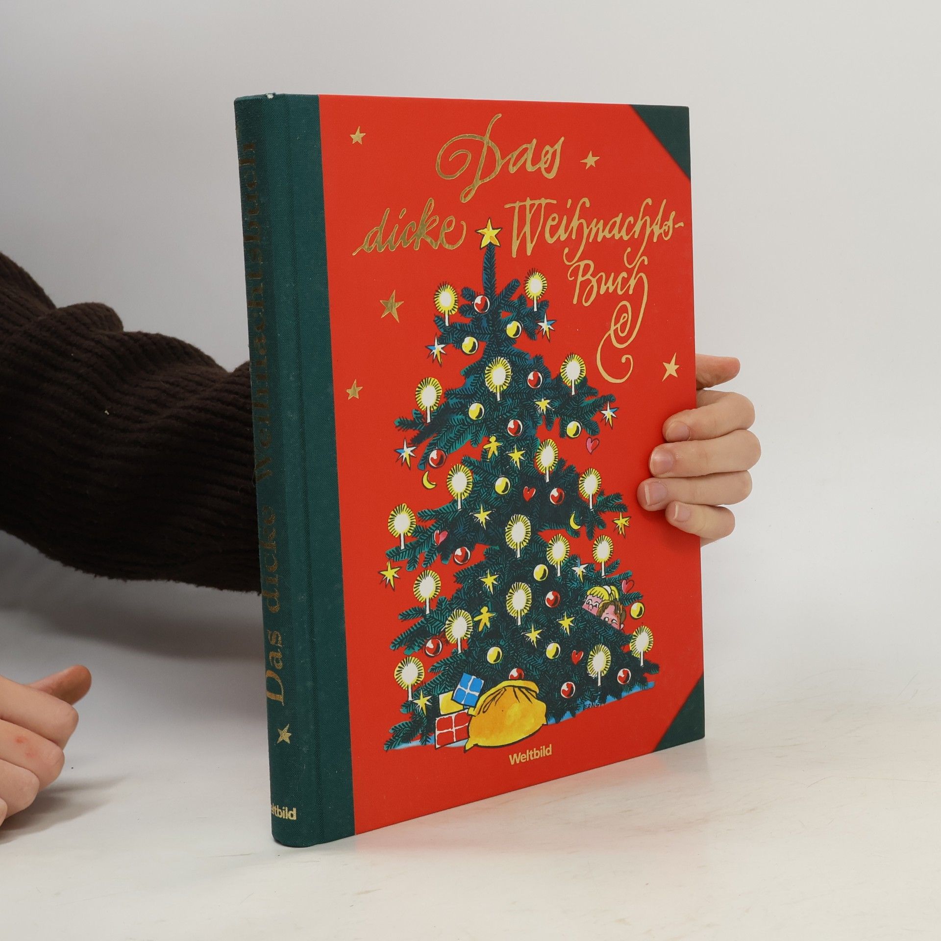 Das dicke Weihnachtsbuch