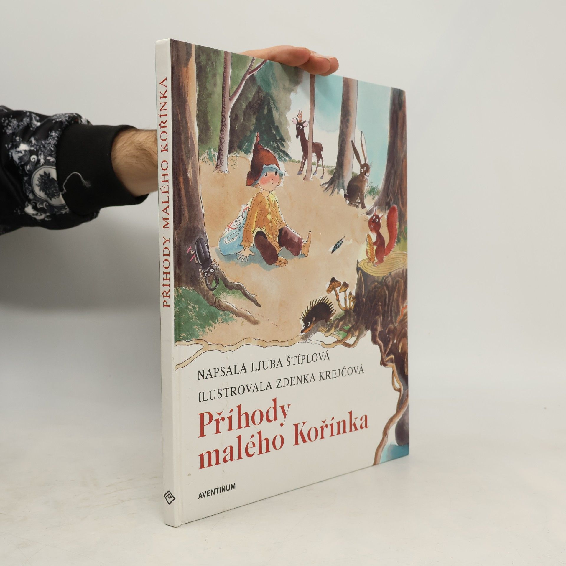 Ljuba Štíplová Příhody malého Kořínka