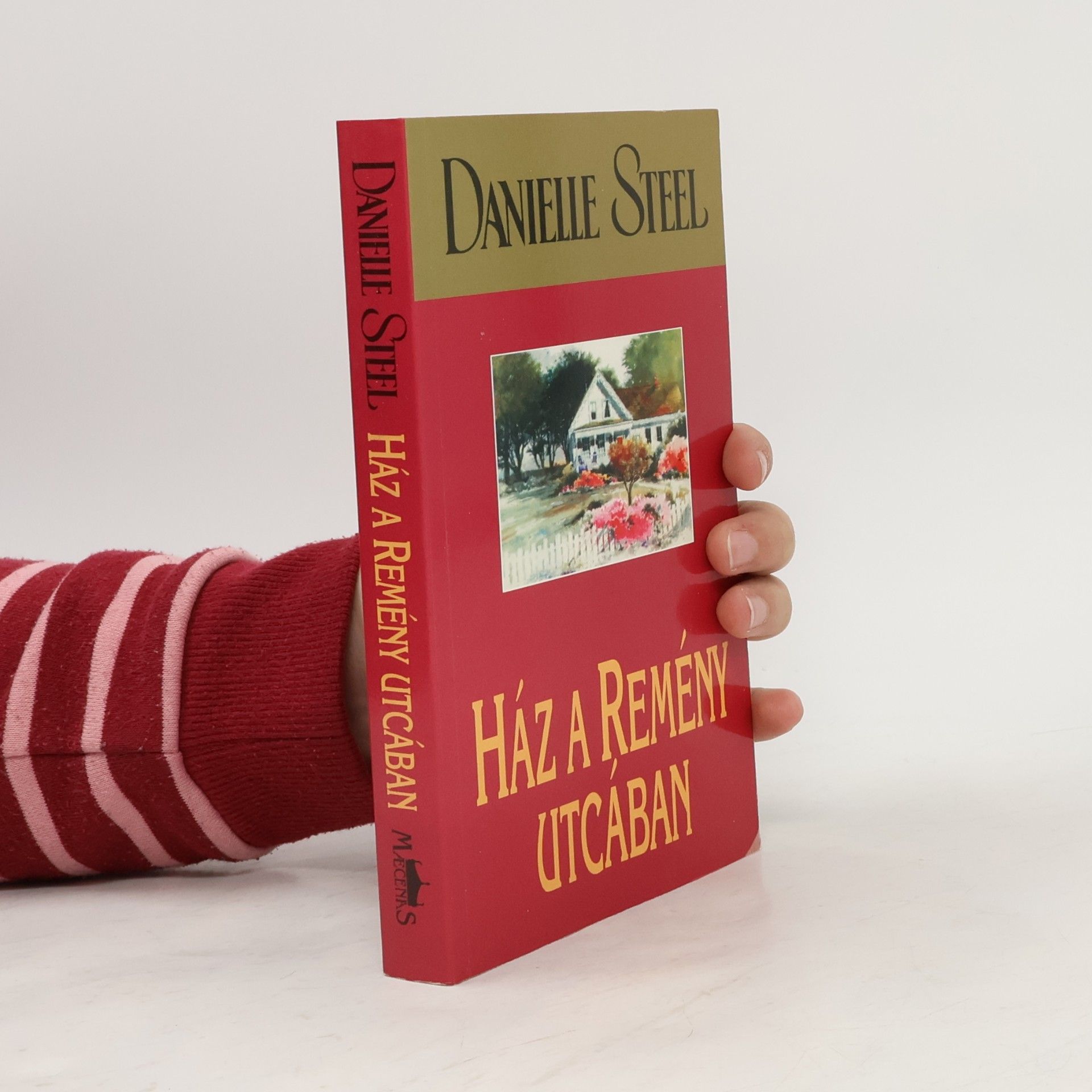 Danielle Steel Ház a remény utcában