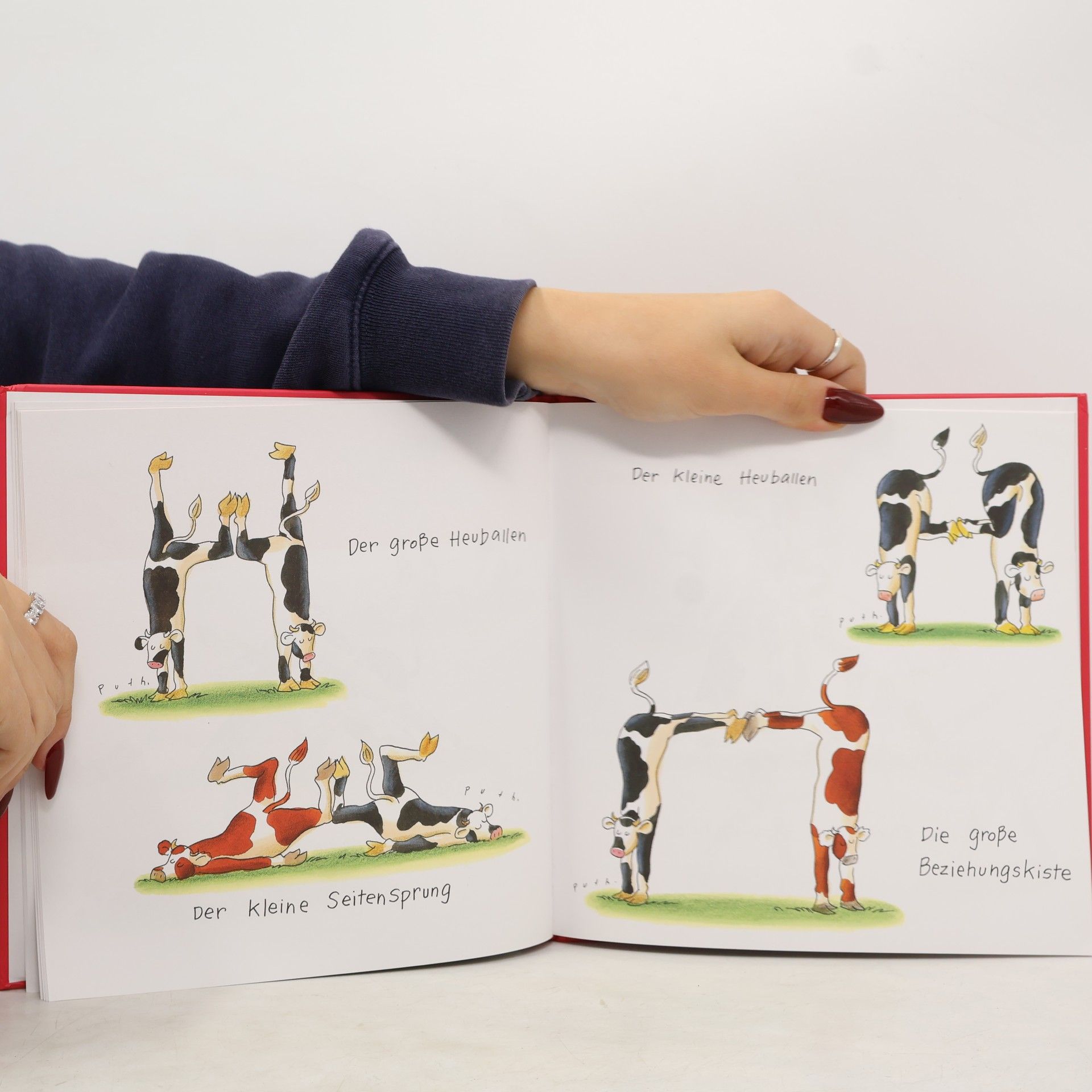 Klaus Puth Alles Liebe mit den Yoga-Kühen