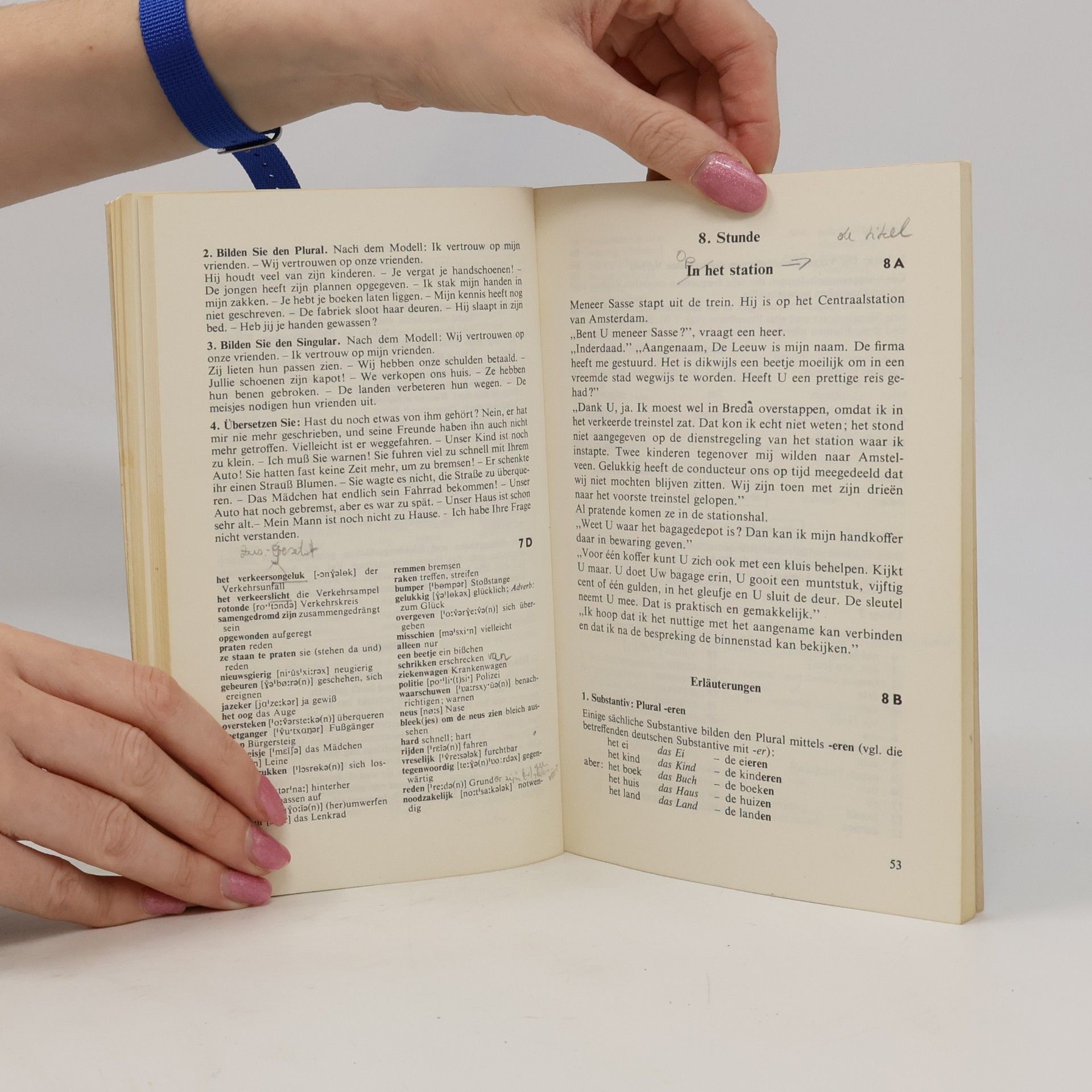 Various authors 30 Stunden Niederländisch für Anfänger
