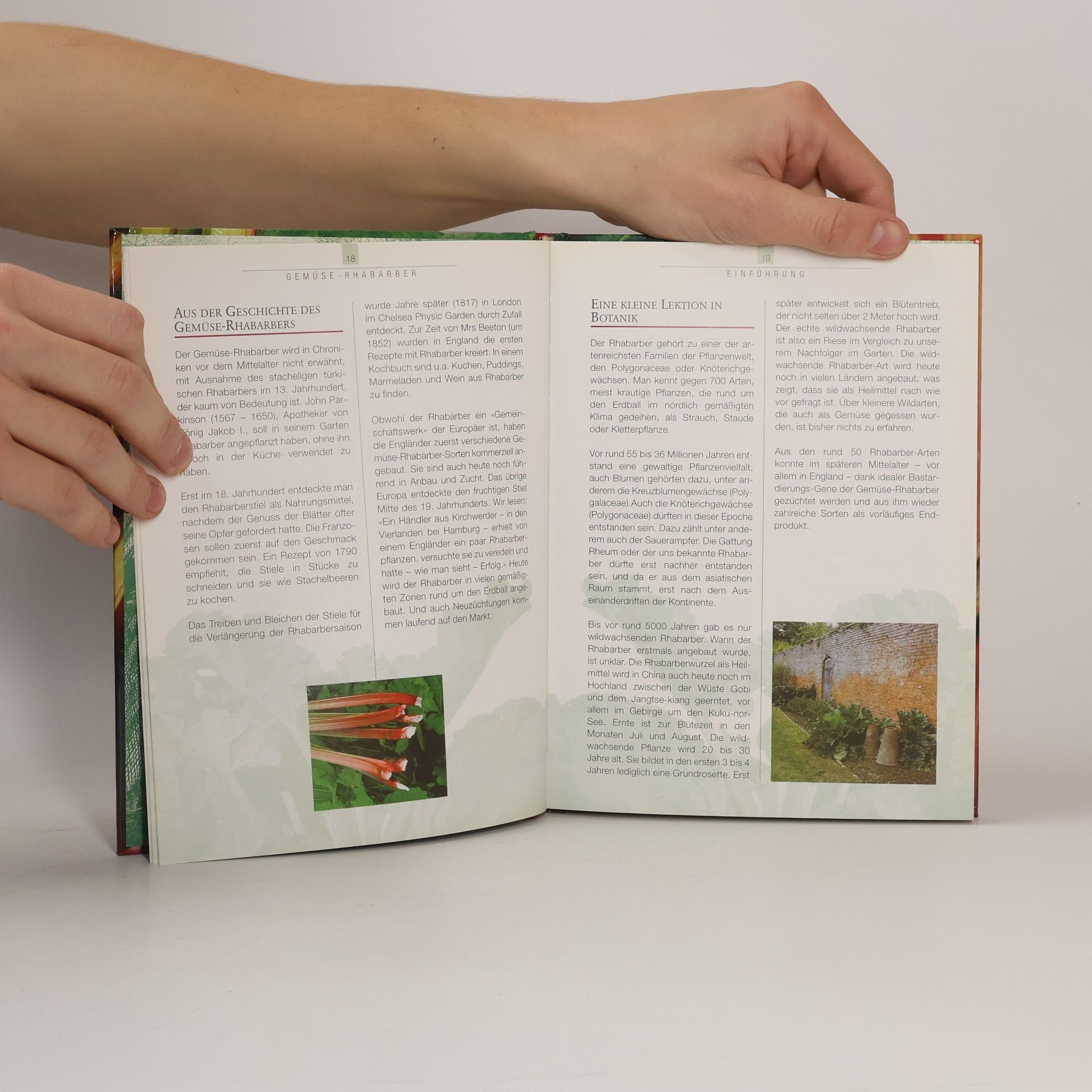 Beatrice Aepli Das Rhabarber-Kochbuch